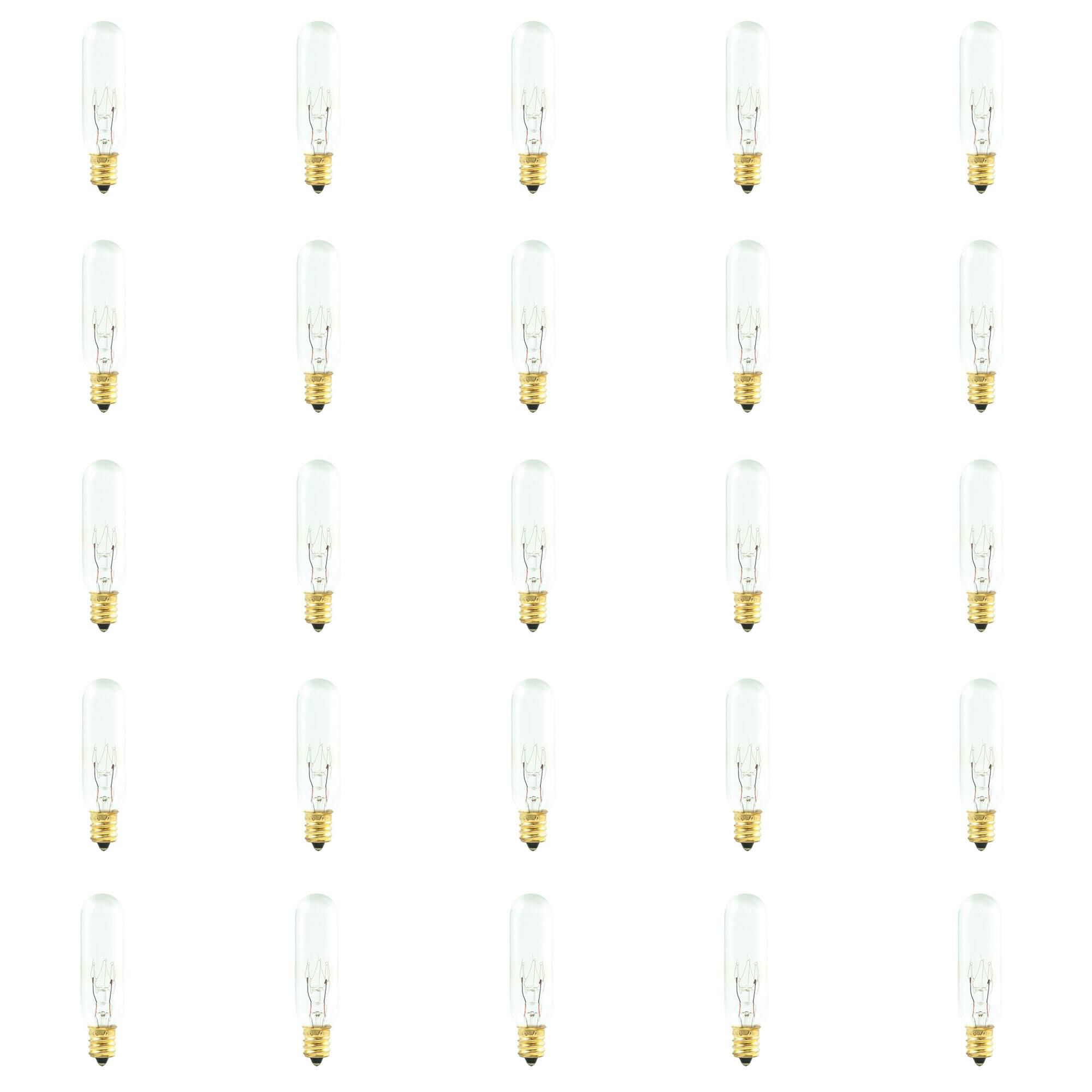 15 Watt 2700K T6 Incandescent Light Bulb by Bulbrite