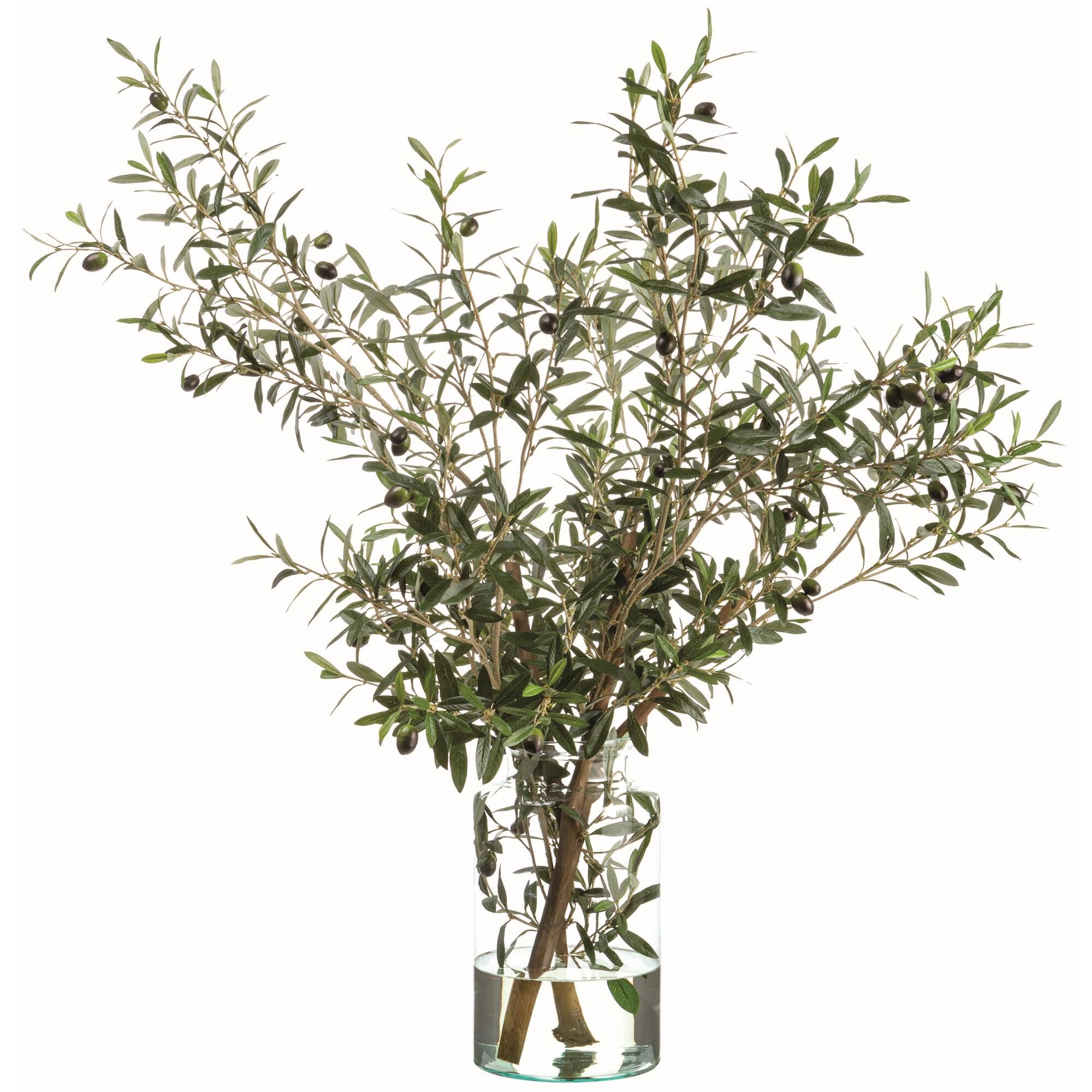 Olive Tree Branches 49 Inch Botanical Capitol Lighting