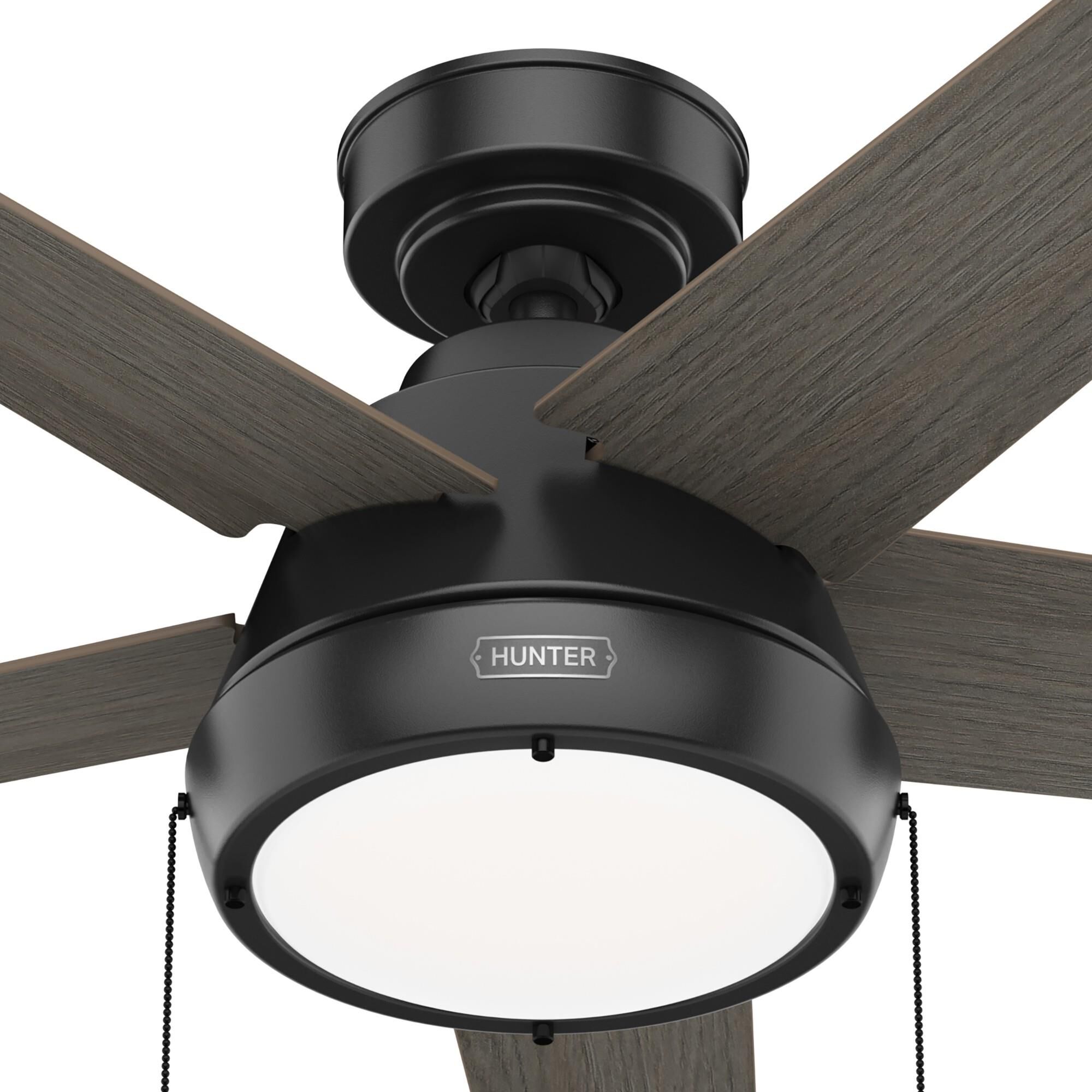 Burroughs 44 Inch Ceiling Fan with Light Kit by Hunter Fan