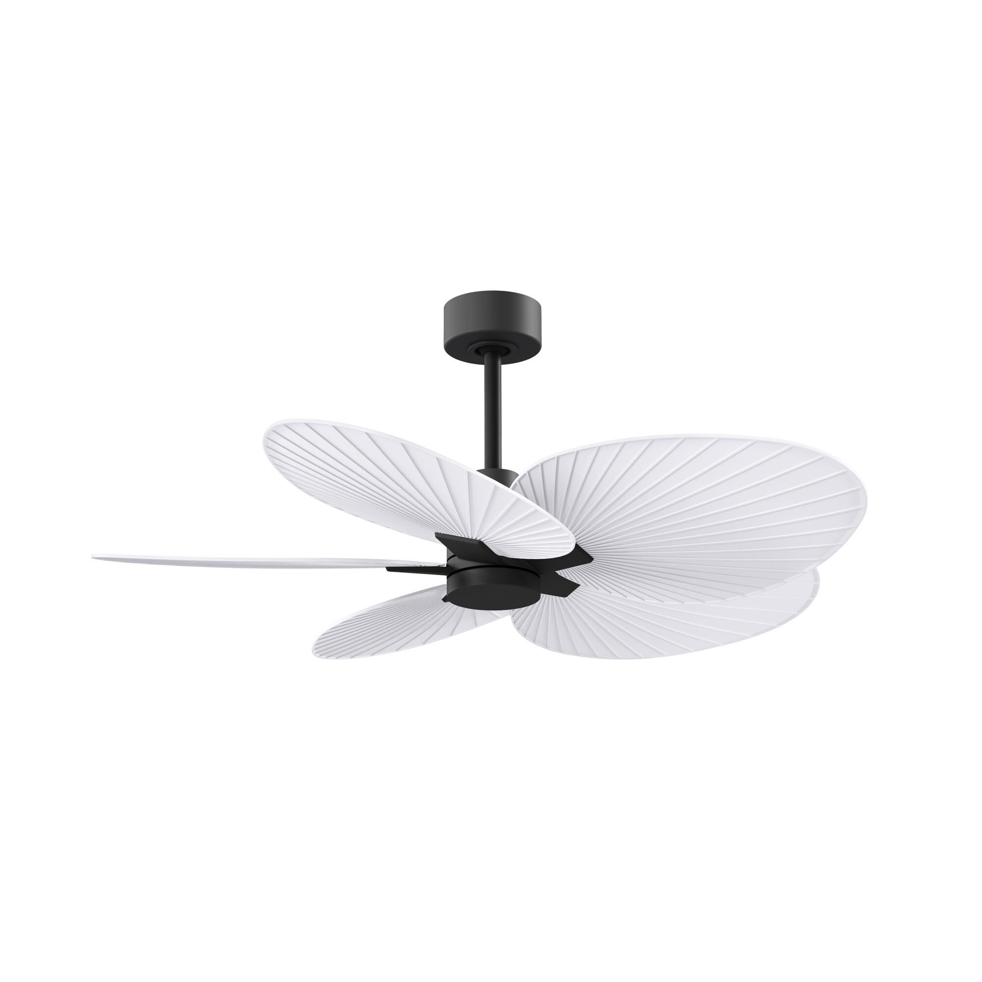 Alessandra Tropical 48 Inch Ceiling Fan by Matthews Fan Company