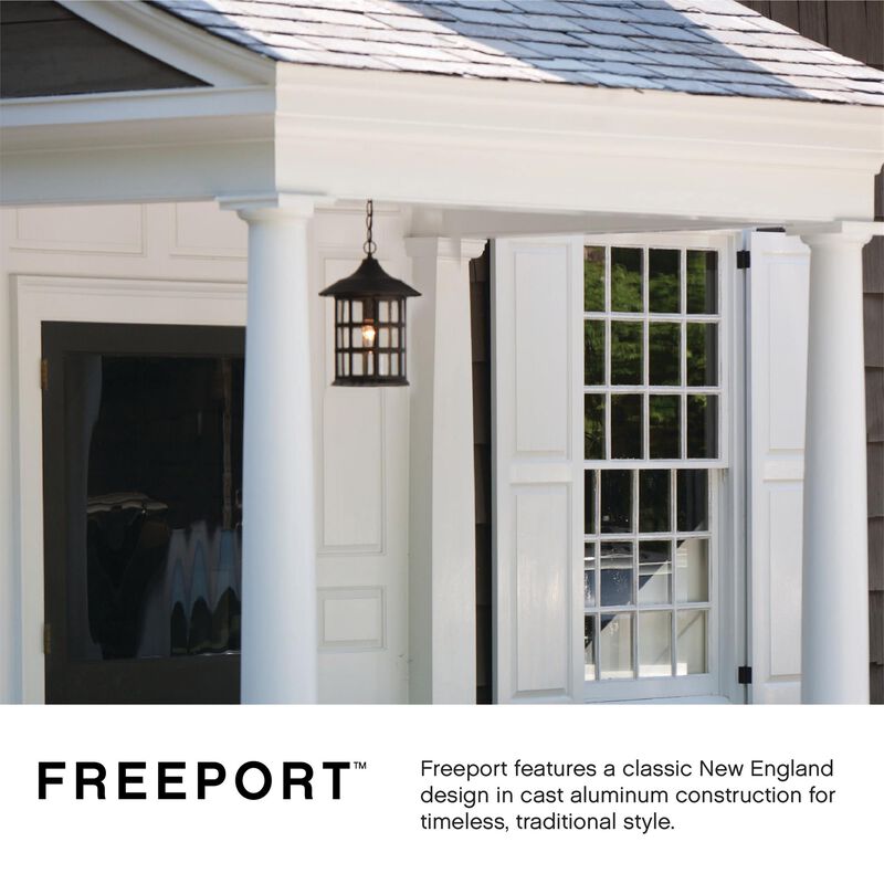 Hinkley Lighting Freeport 14 Inch Tall Outdoor Hanging Lantern