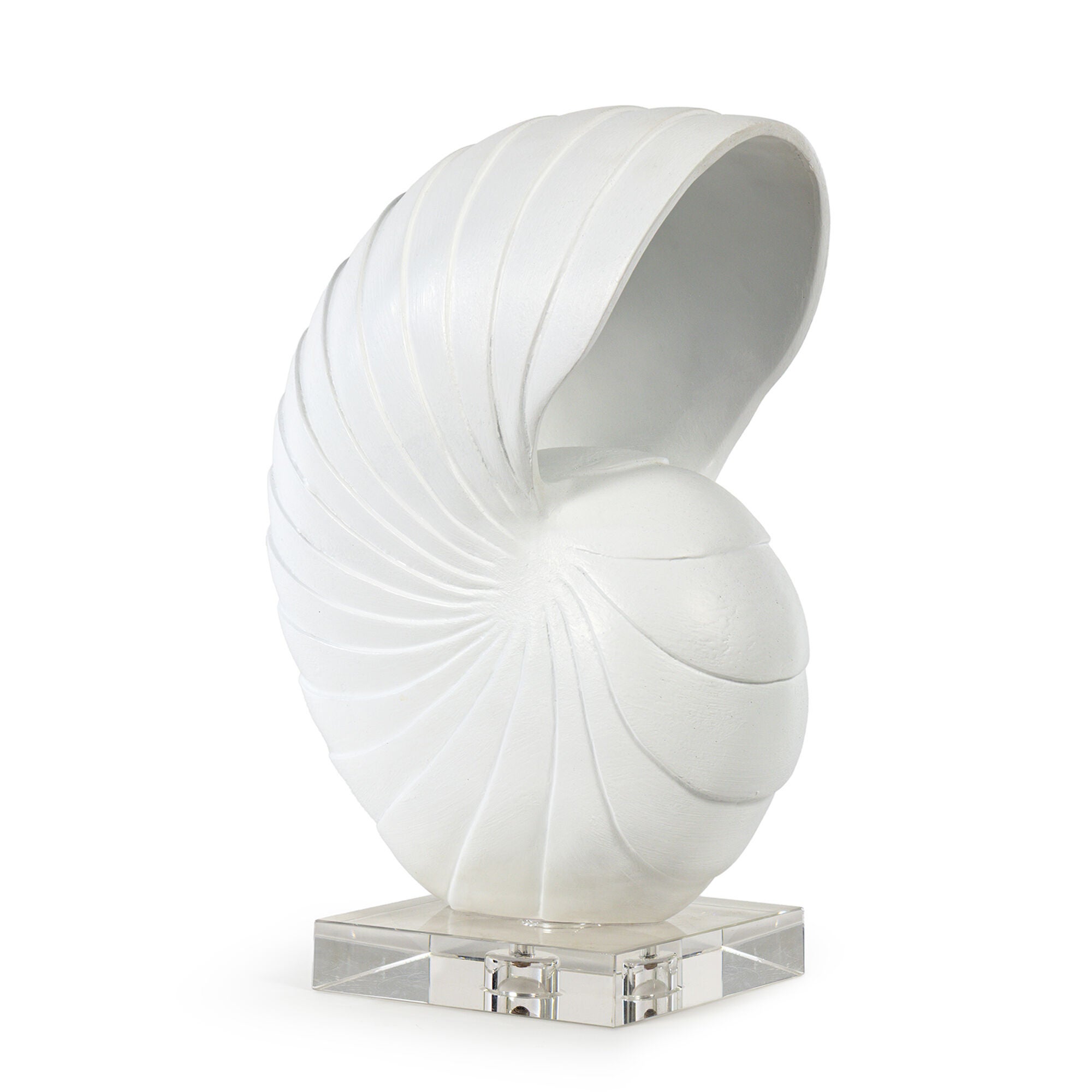 Nautilus Shell Sculpture,
