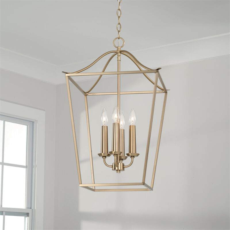 Grady 22 Inch Cage Pendant by Capital Lighting Fixture Company
