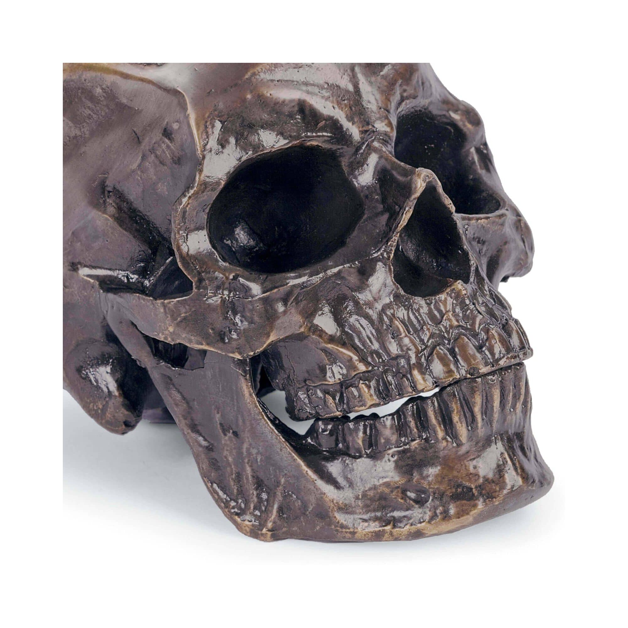 Metal Skull Other Table Accent by Regina Andrew