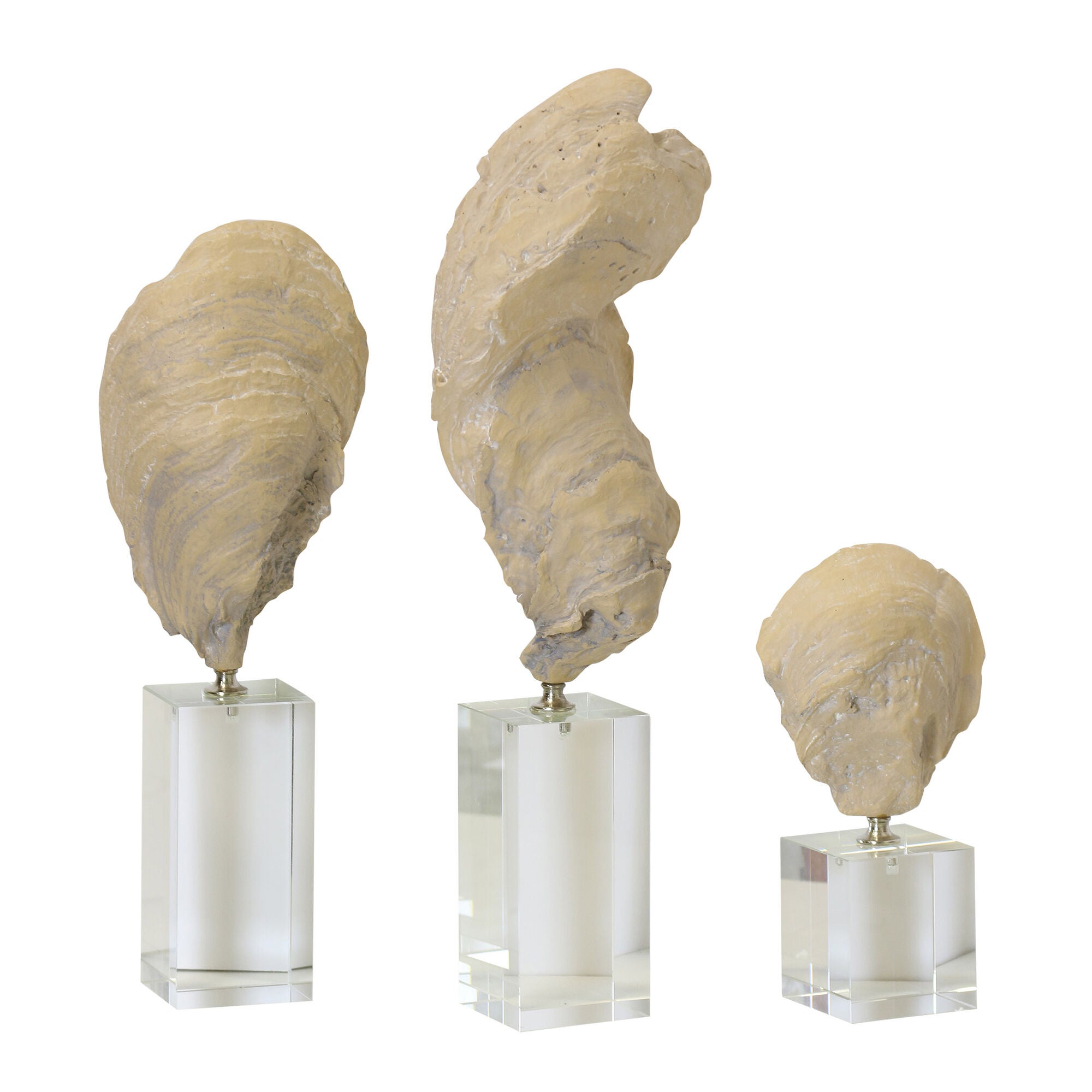 Clam Sculpture Set of 3,