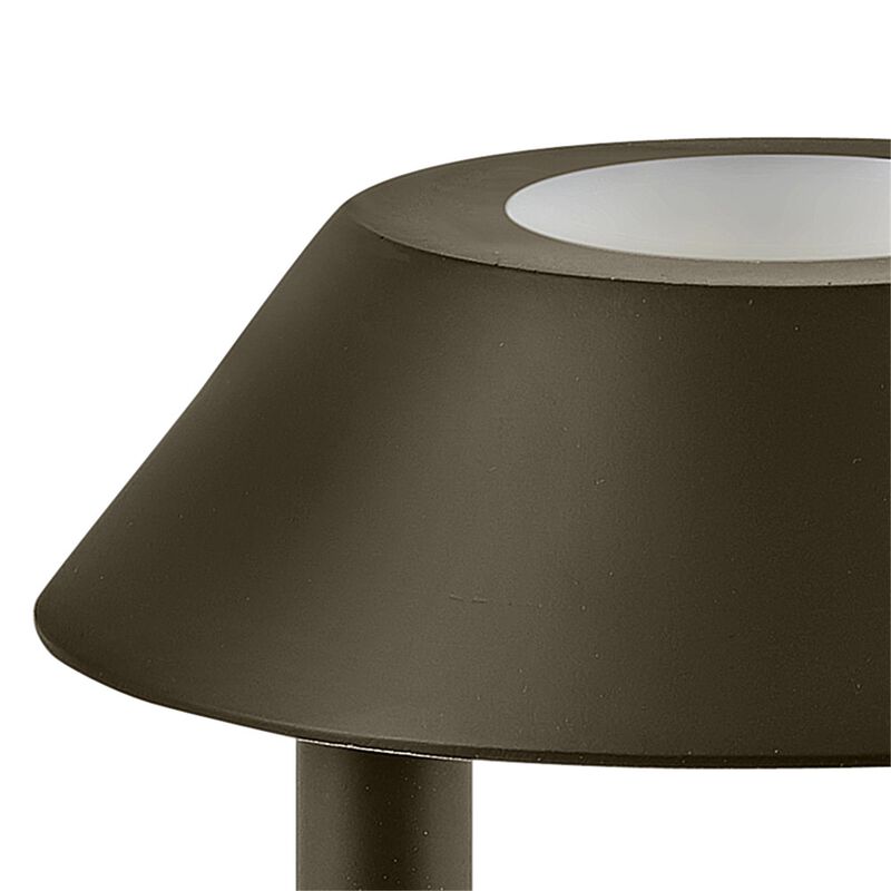 Aura 22 Inch Decorative Pathway Light by Hinkley