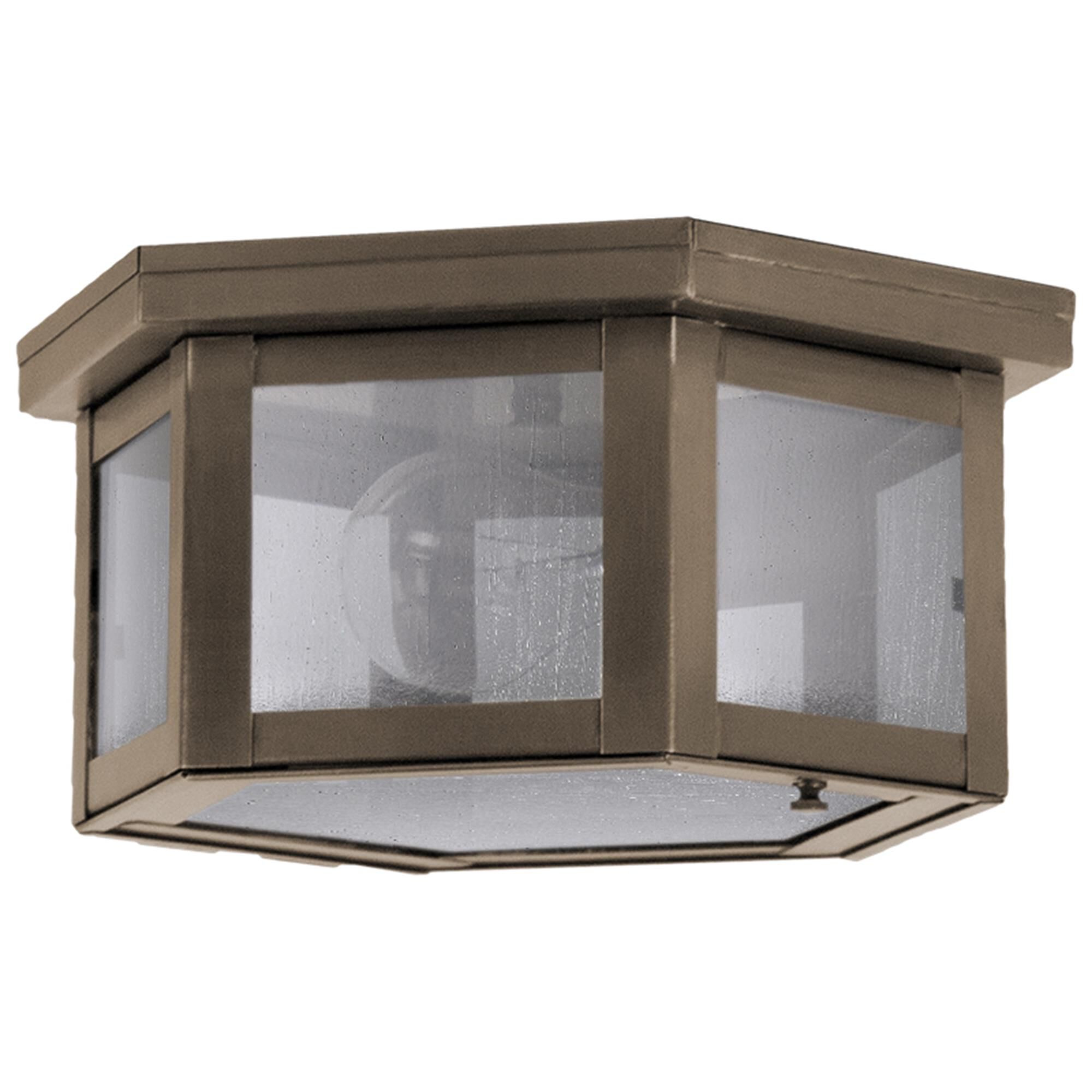 Williams 10 Inch Outdoor Flush Mount,