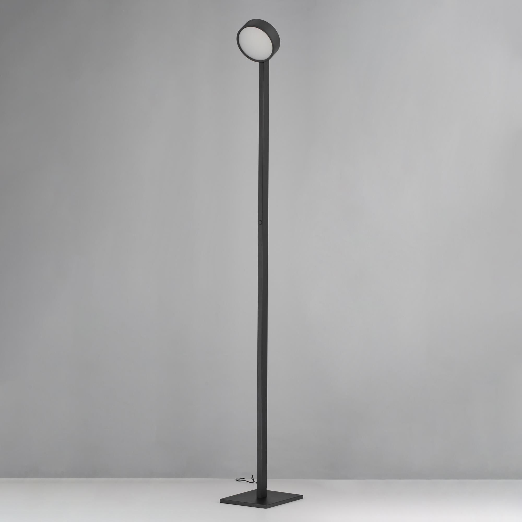 Embrace 65 Inch Reading Lamp by ET2 Lighting