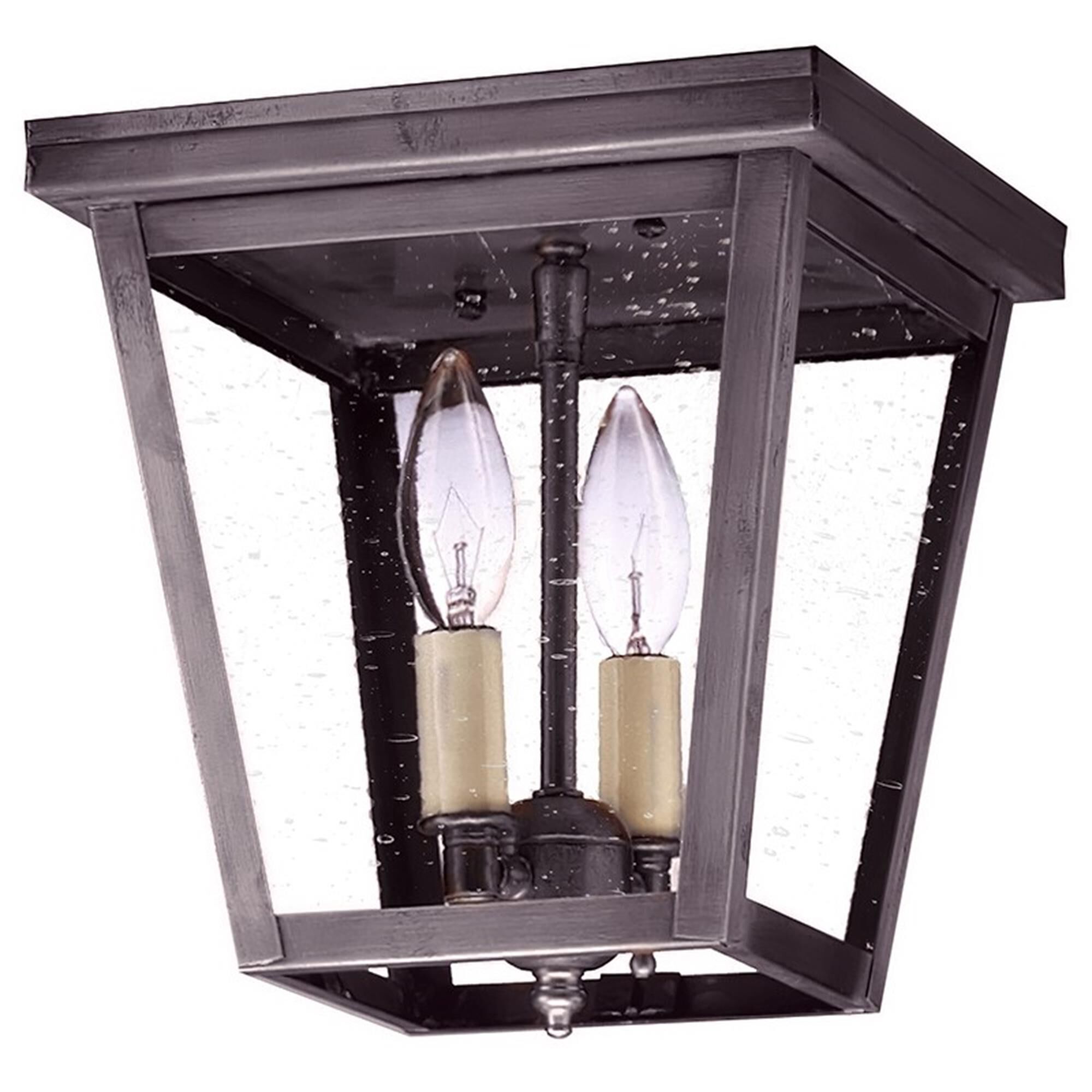 Williams 8 Inch 2 Light Outdoor Flush Mount,