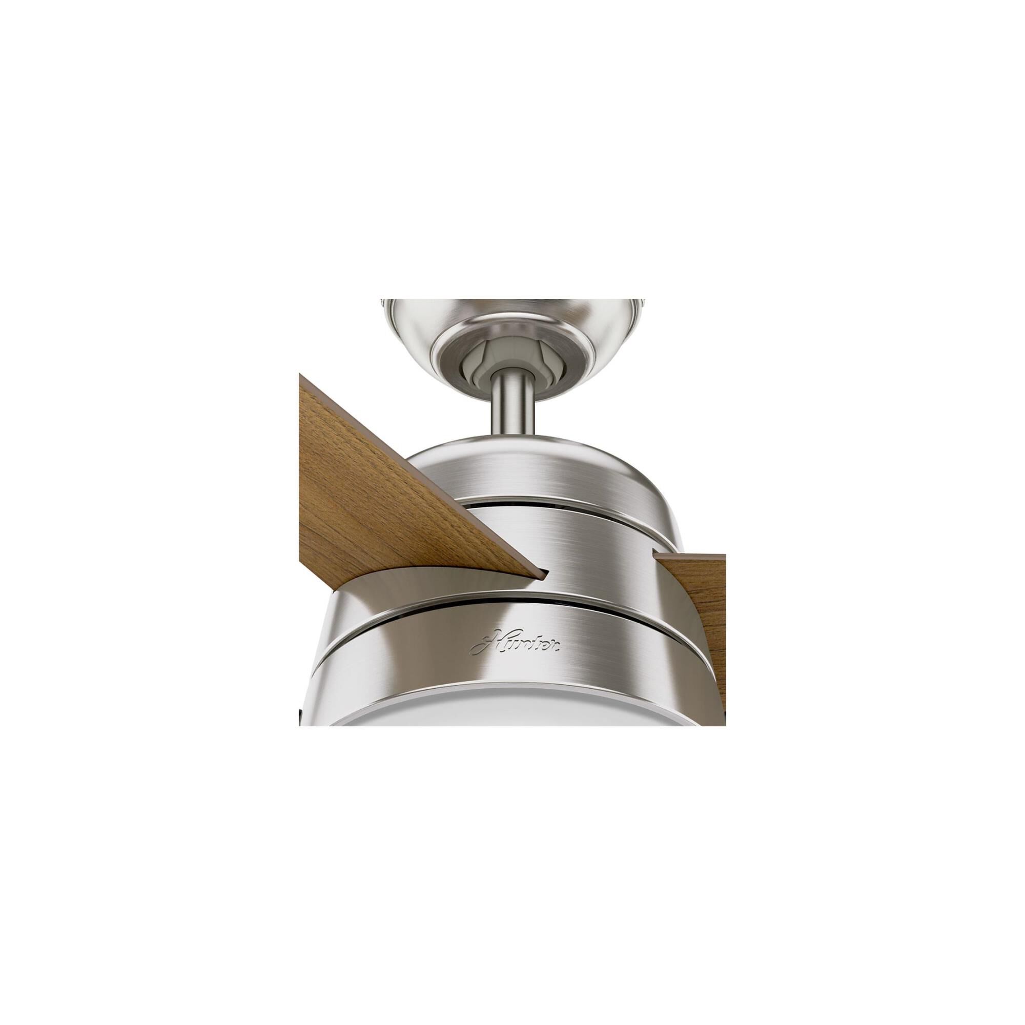 Aker 36 Inch Ceiling Fan with Light Kit by Hunter Fan