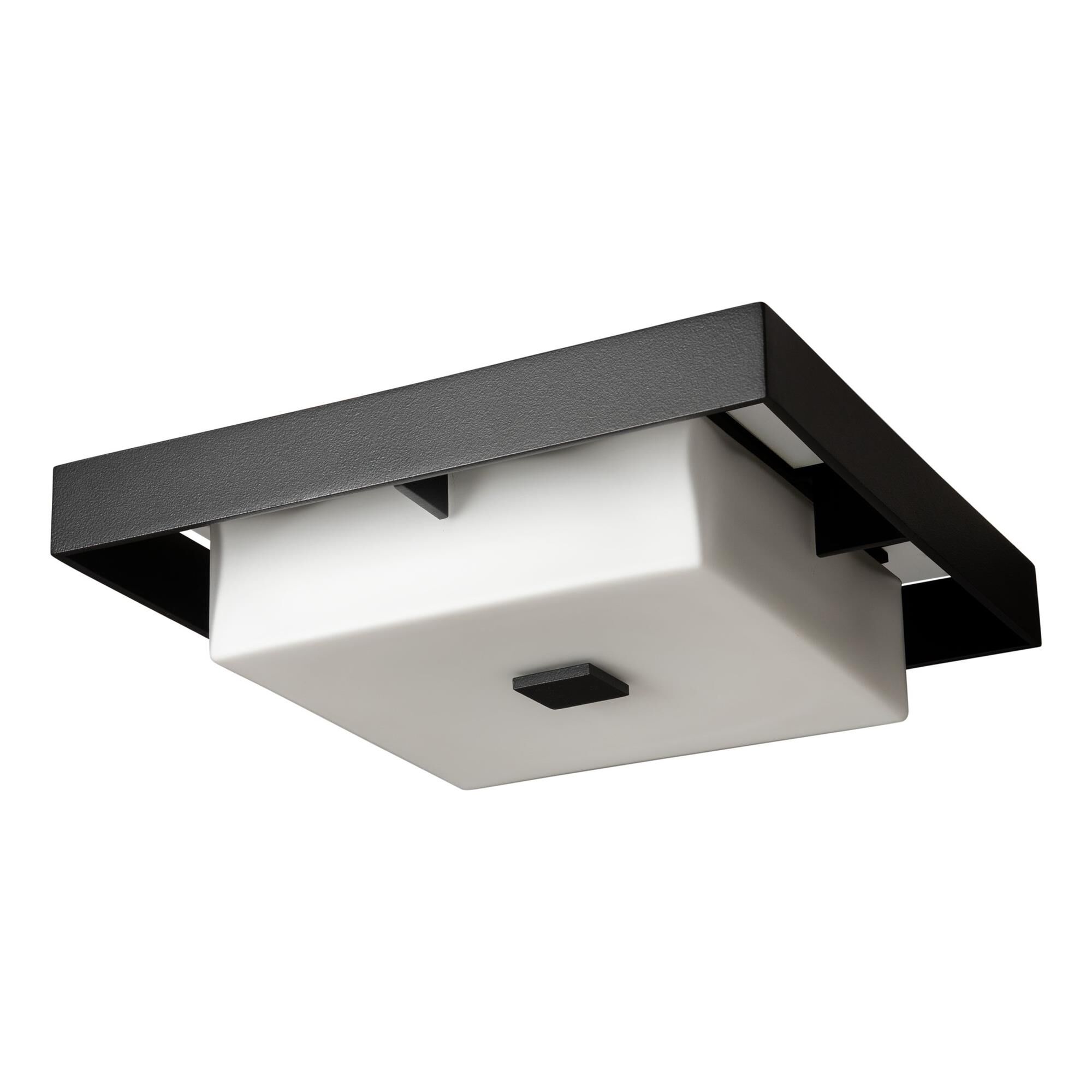 Shadow Box 12 Inch 2 Light Outdoor Flush Mount,