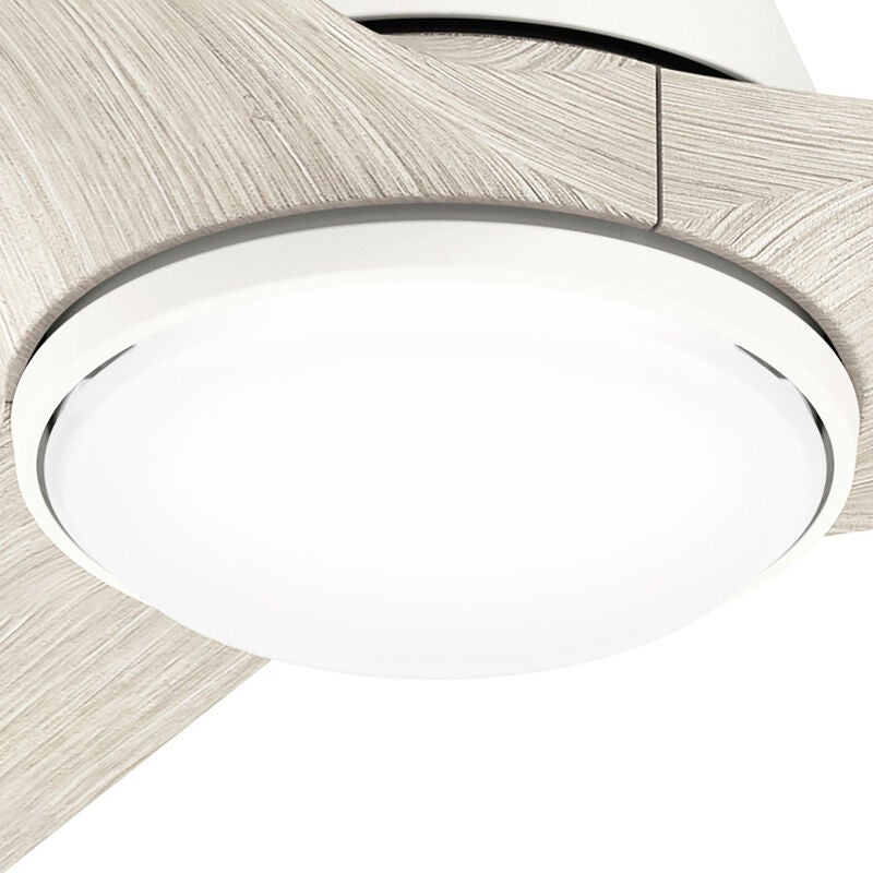 Bolsa 60 Inch Ceiling Fan with Light Kit by Hunter Fan