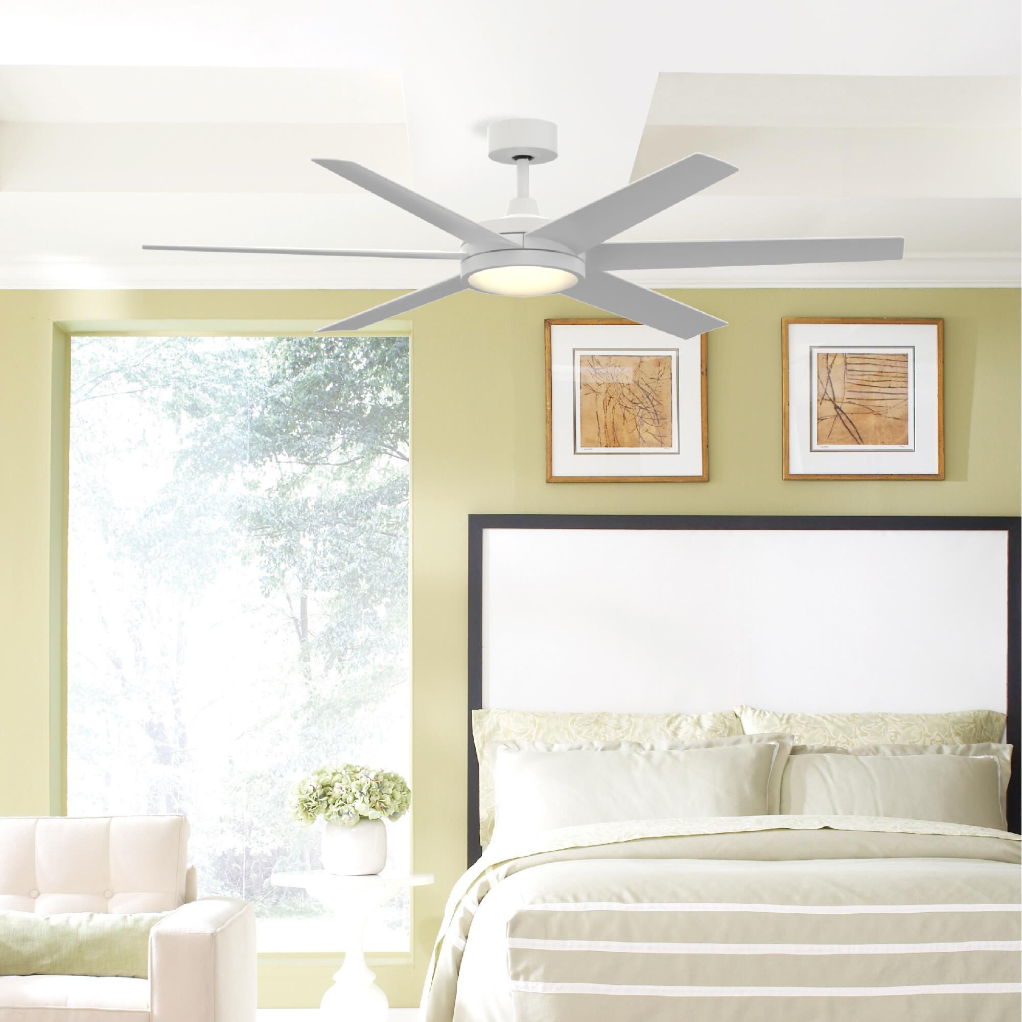 Brawn 64 Inch Ceiling Fan by Fanimation