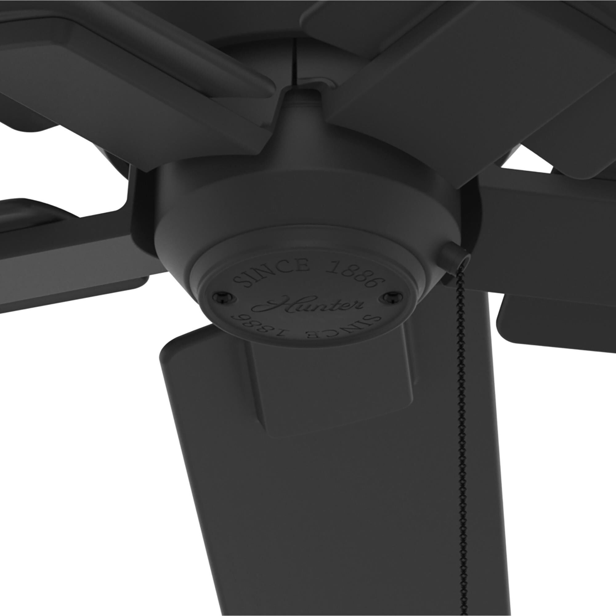 Terrace Cove 44 Inch Ceiling Fan by Hunter Fan