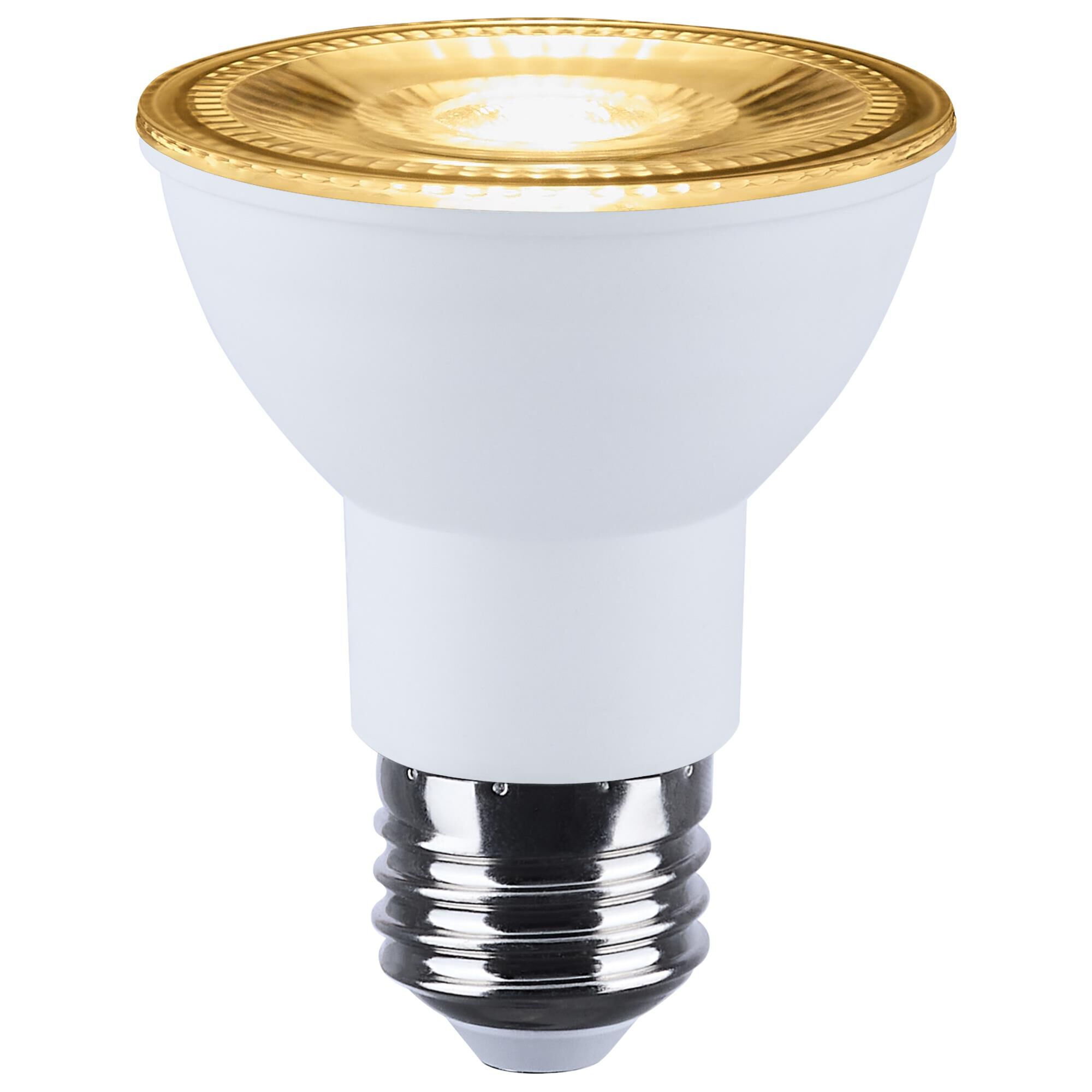 Dimmable 6 Watt 2700K PAR20 LED Light Bulb,