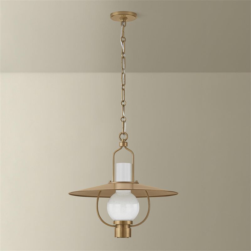 Cahill 20 Inch Large Pendant by Troy Lighting