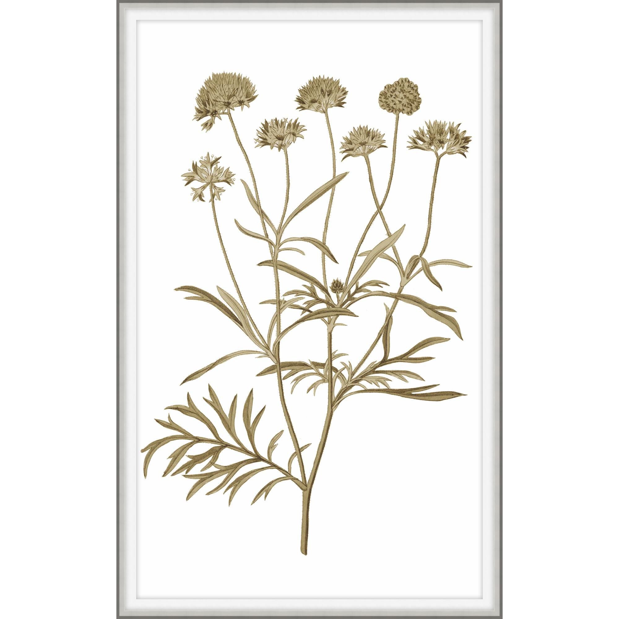 Sweet Preservation Print by LEVEL57