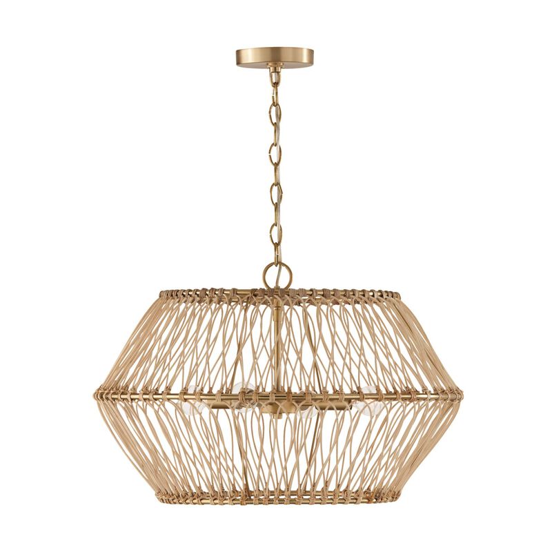 Wren 24 Inch Large Pendant by Capital Lighting Fixture Company