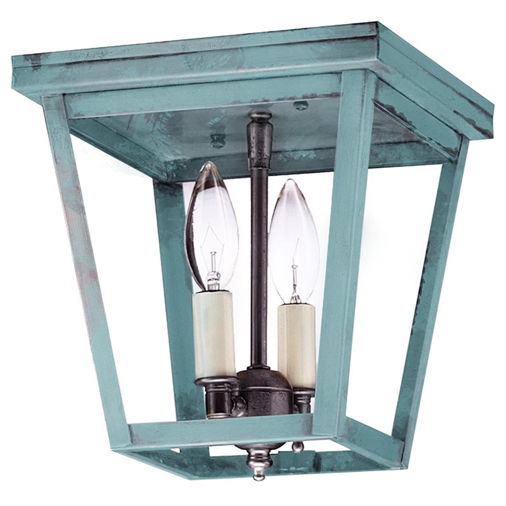 Williams 8 Inch 2 Light Outdoor Flush Mount,