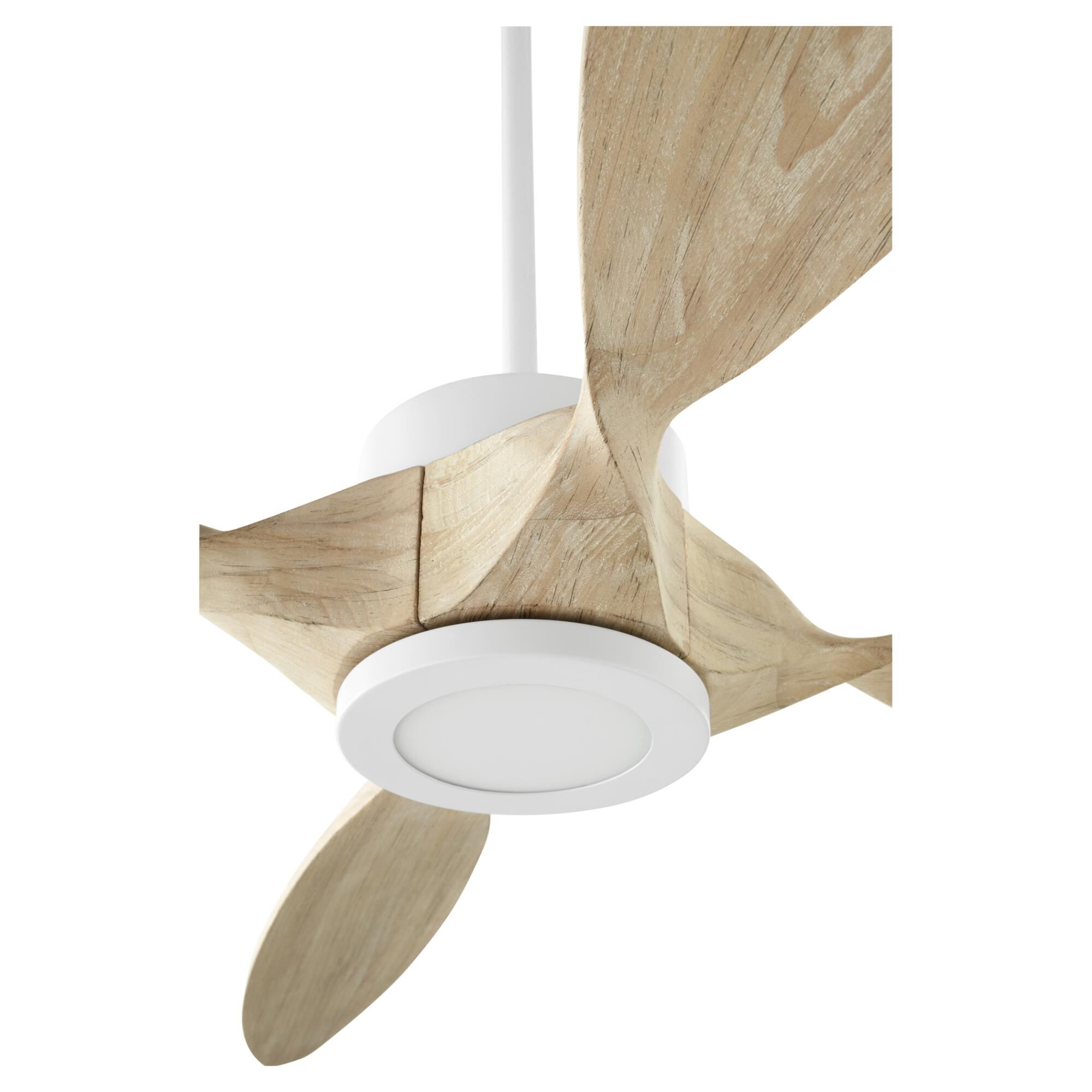 Papillon 80 Inch Ceiling Fan by Quorum International