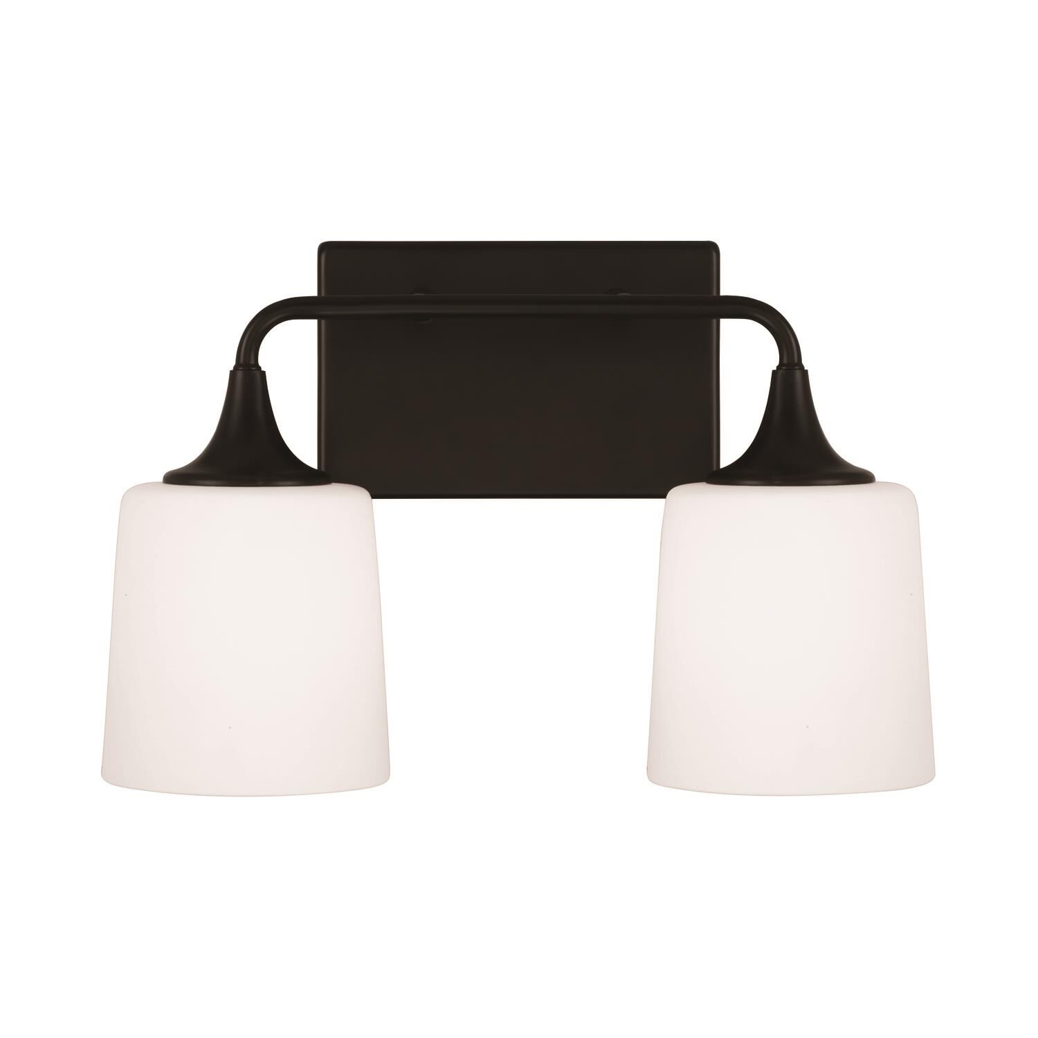 Presley 16 Inch 2 Light Bath Vanity Light by Homeplace by Capital Lighting Fixture Company