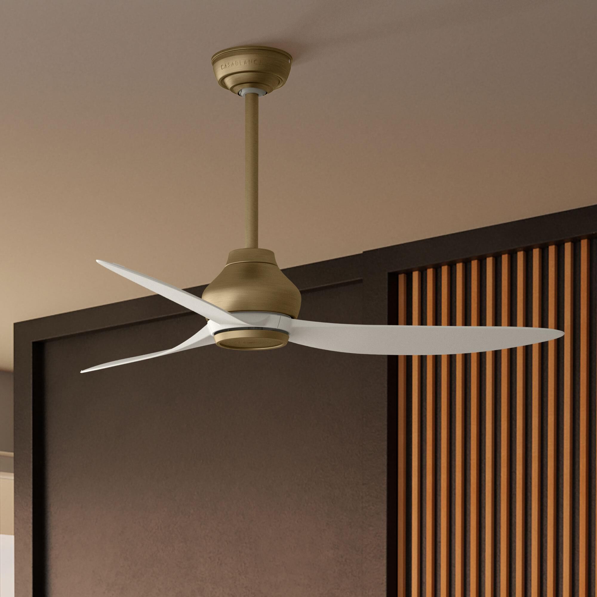 Eyla 52 Inch Ceiling Fan by Casablanca Fan Company