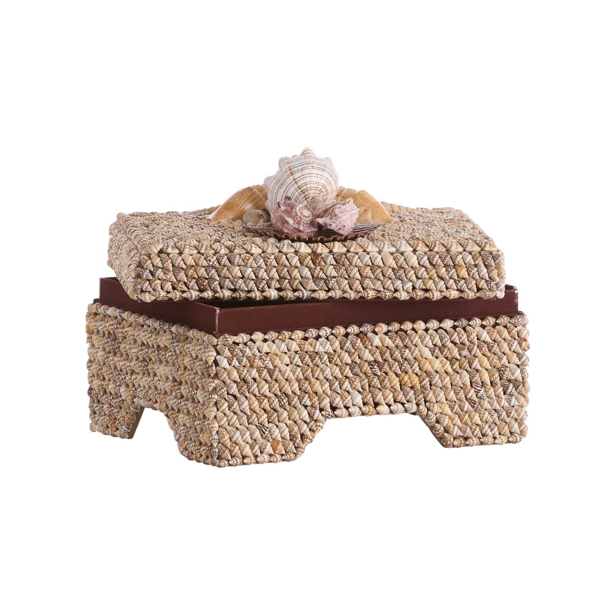 Island Shell Accent Box by Chelsea House