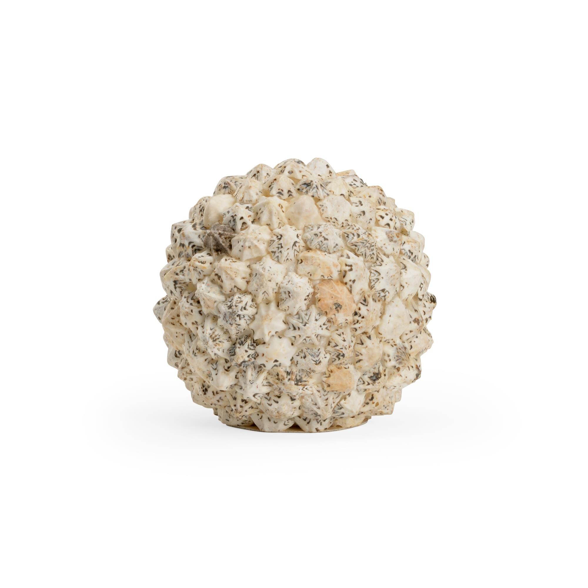 Shell Ball Decorative Sphere by Chelsea House