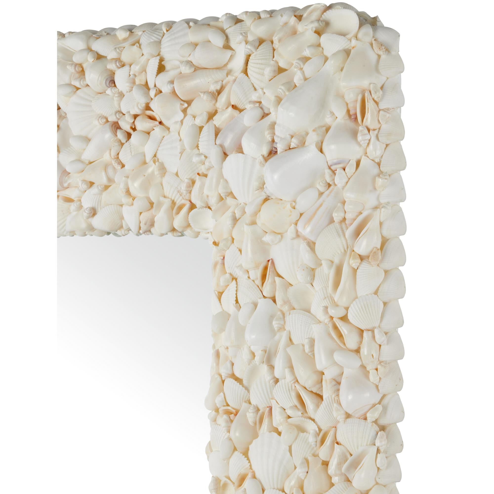 Turbinella 33 Inch Decorative Mirror by Currey and Company