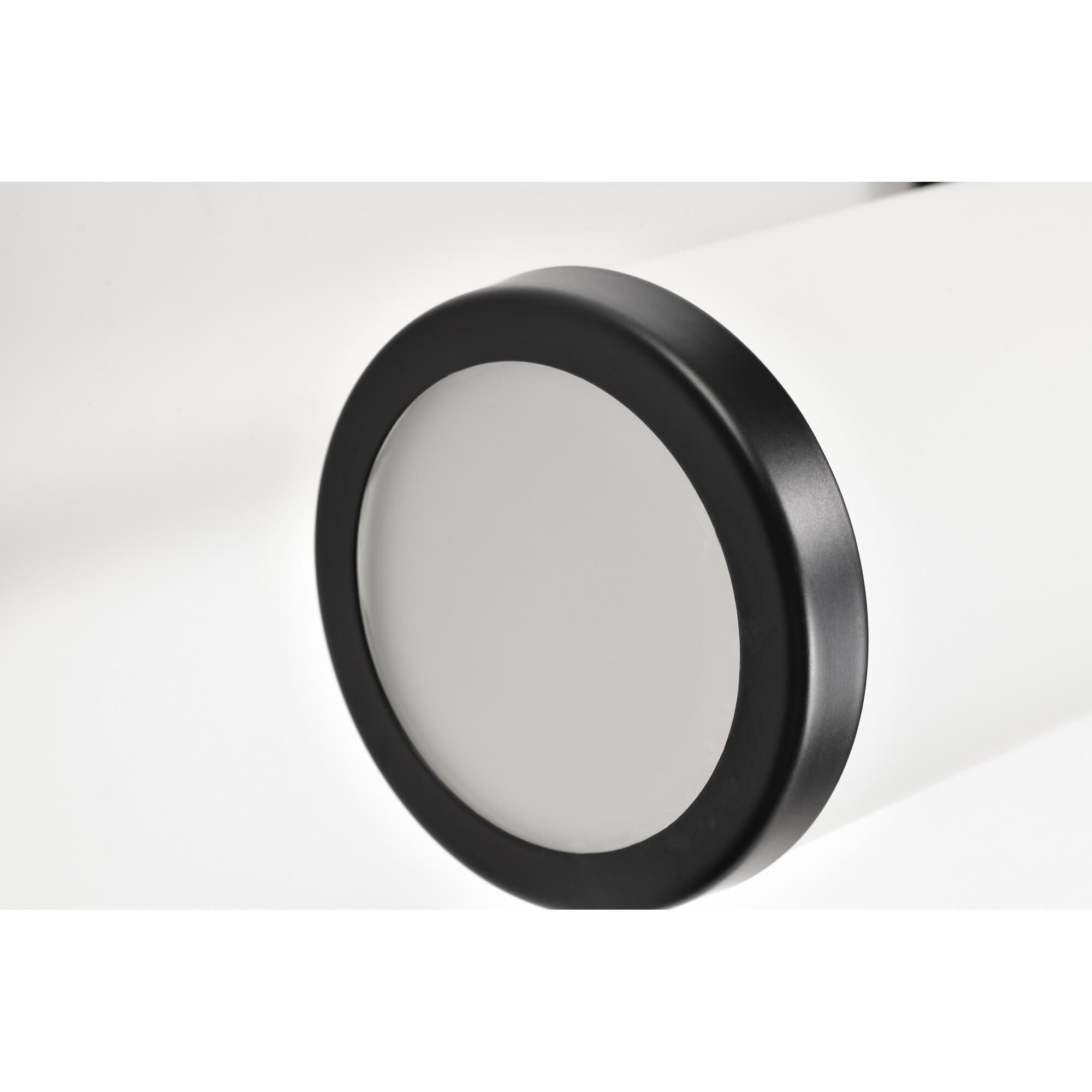 Roselle 24 Inch Bath Vanity Light by Nuvo Lighting