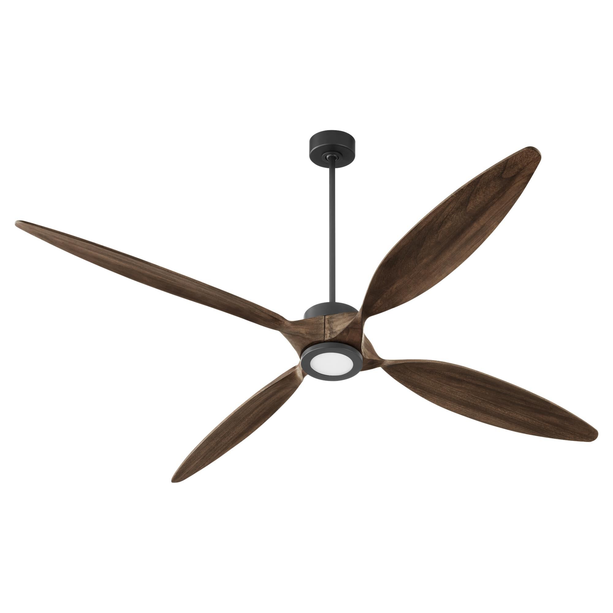 Papillon 80 Inch Ceiling Fan by Quorum International