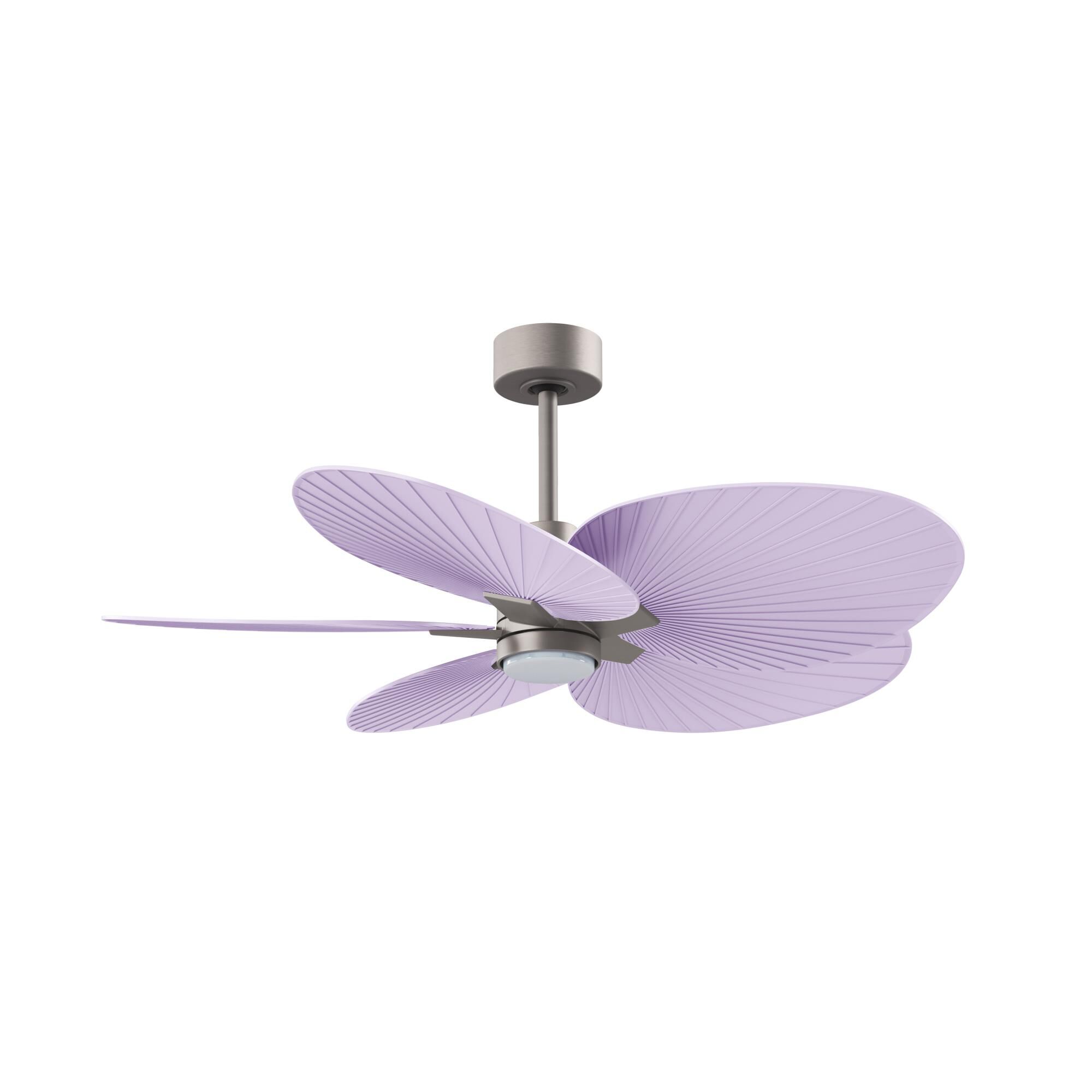 Alessandra Tropical Outdoor Rated 48 Inch Ceiling Fan with Light Kit by Matthews Fan Company