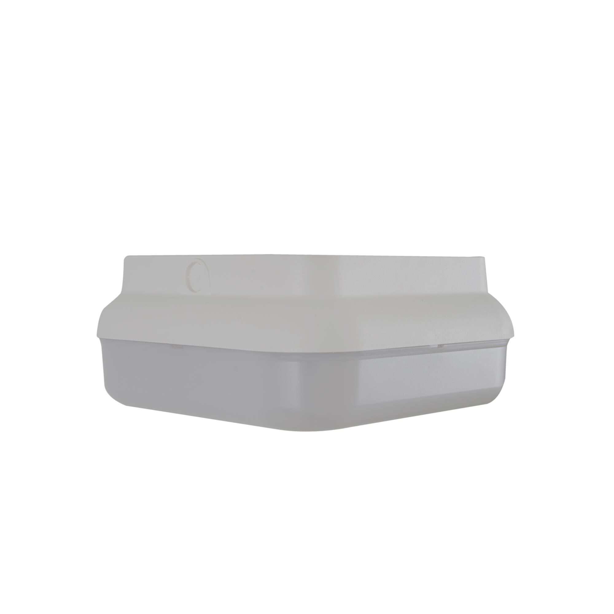Resilience Lanterns 10 Inch Outdoor Flush Mount,