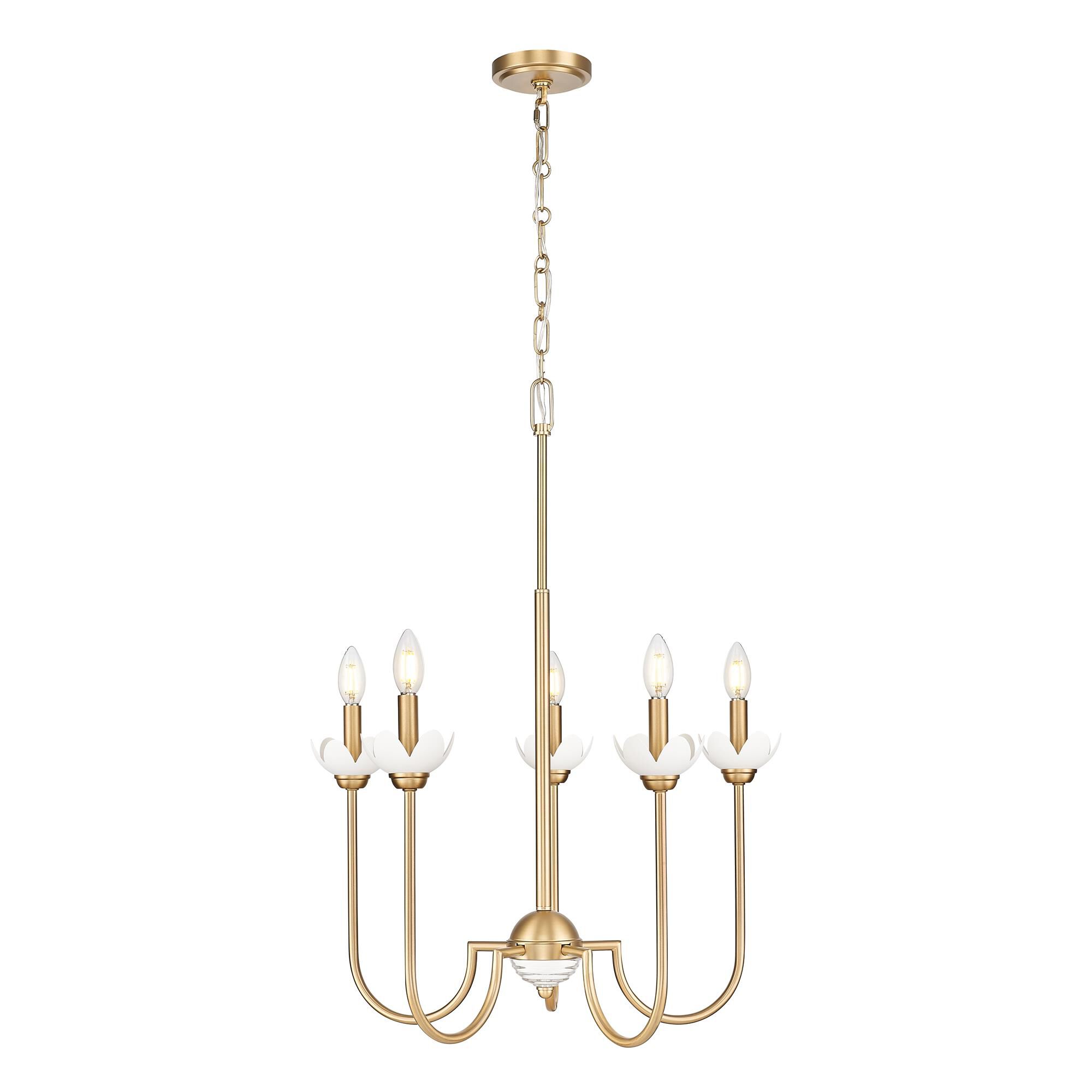 Shown in Modern Gold finish and Clear Ribbed glass and Clear Ribbed shade