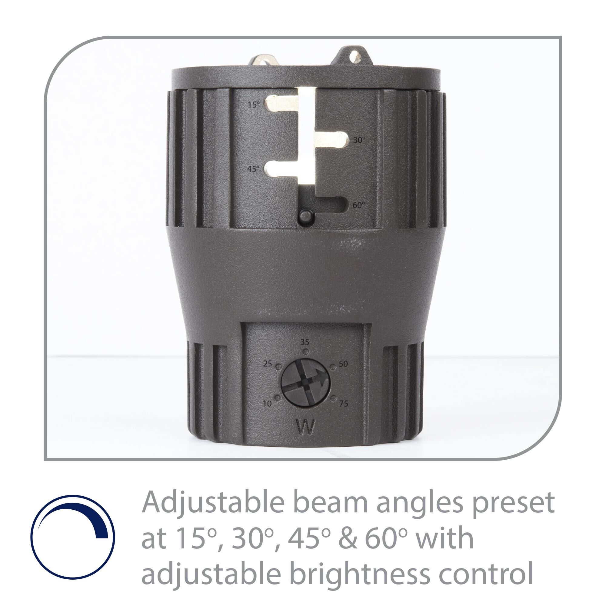 Grand 6 Inch Landscape Specialty Light by WAC Lighting