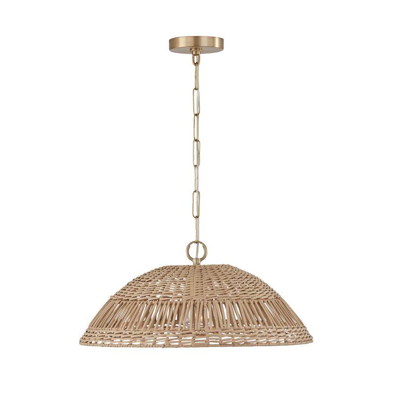Capital Lighting Fixture Company Naomi 21 Inch Large Pendant