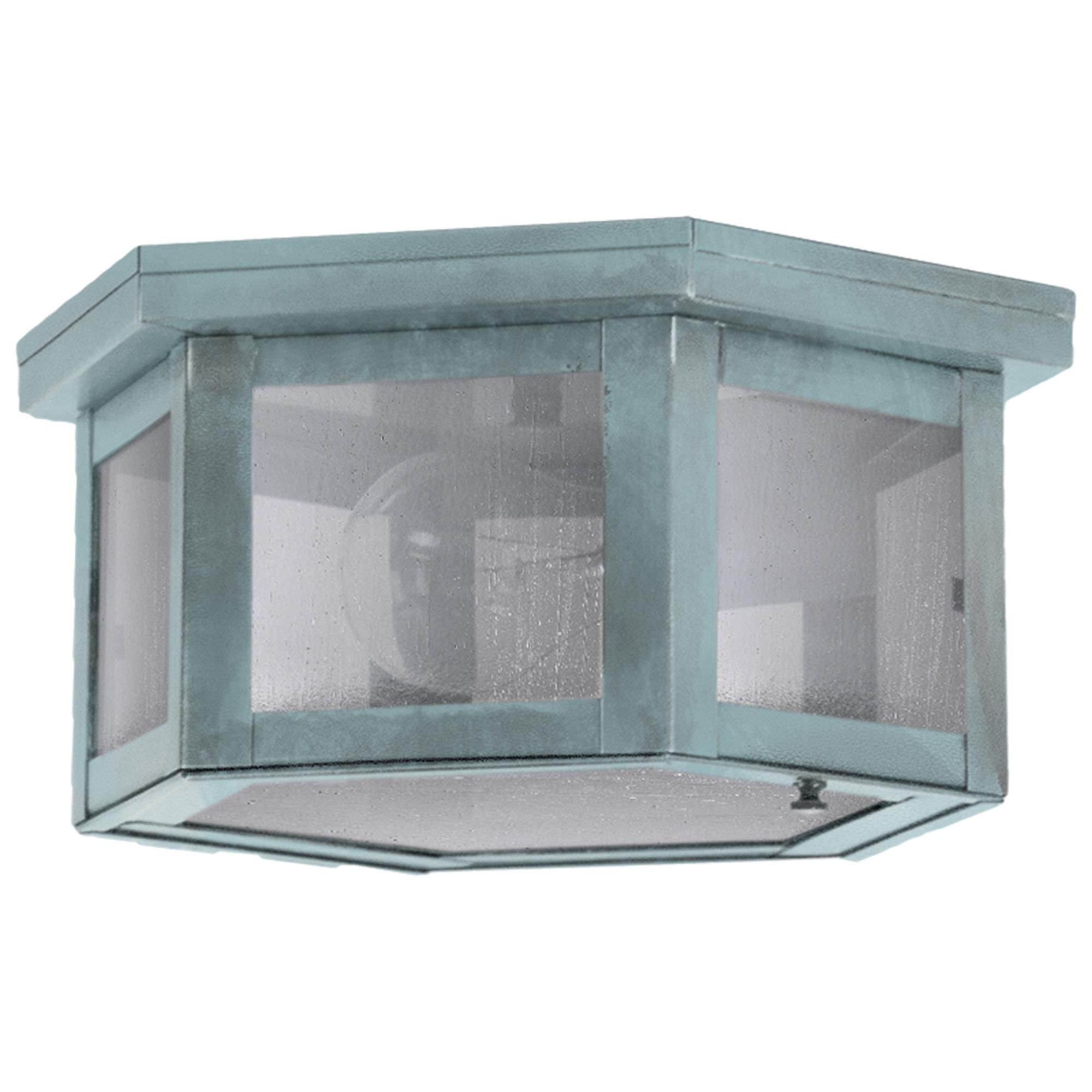 Williams 10 Inch Outdoor Flush Mount,