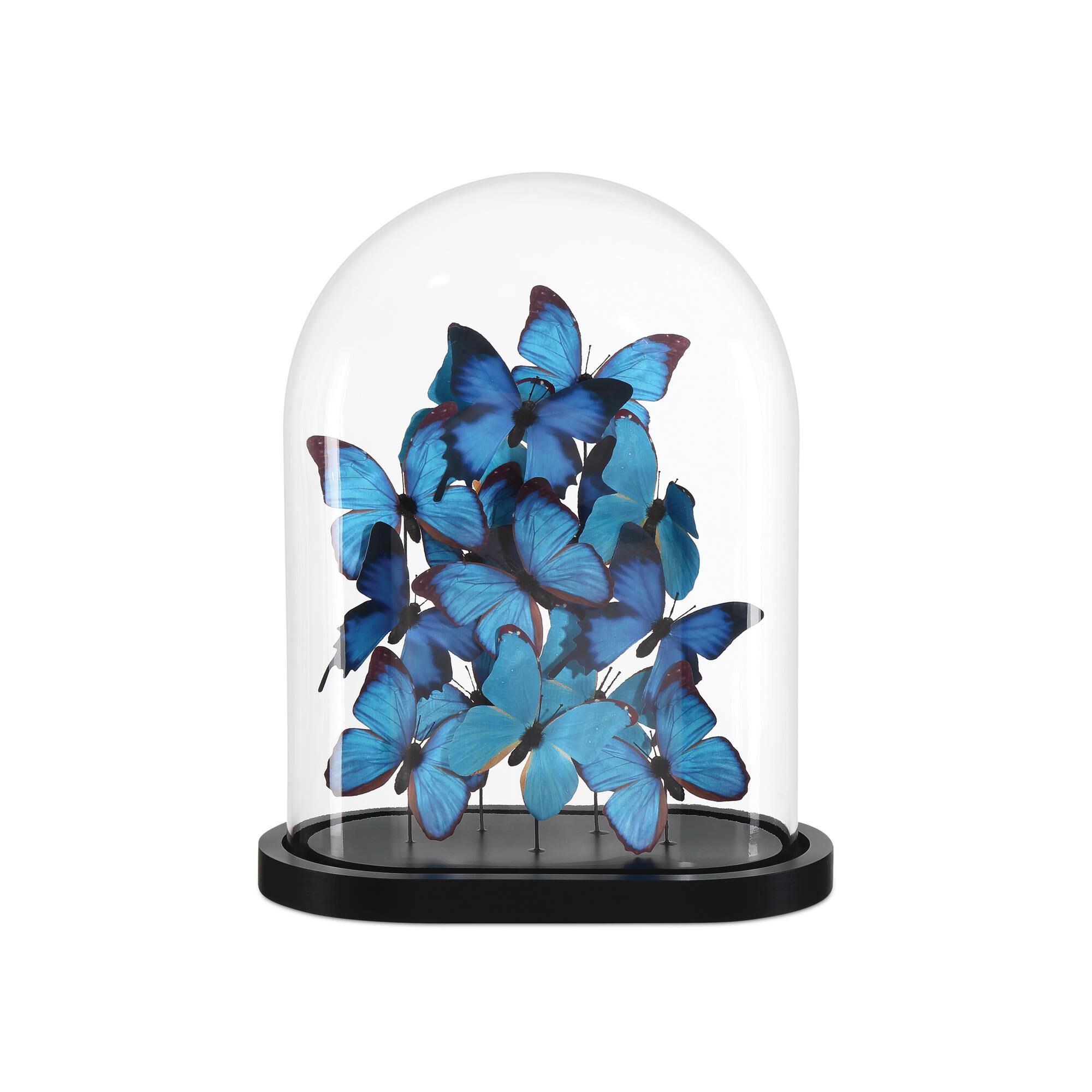 Shown in Blue/Black/Clear finish