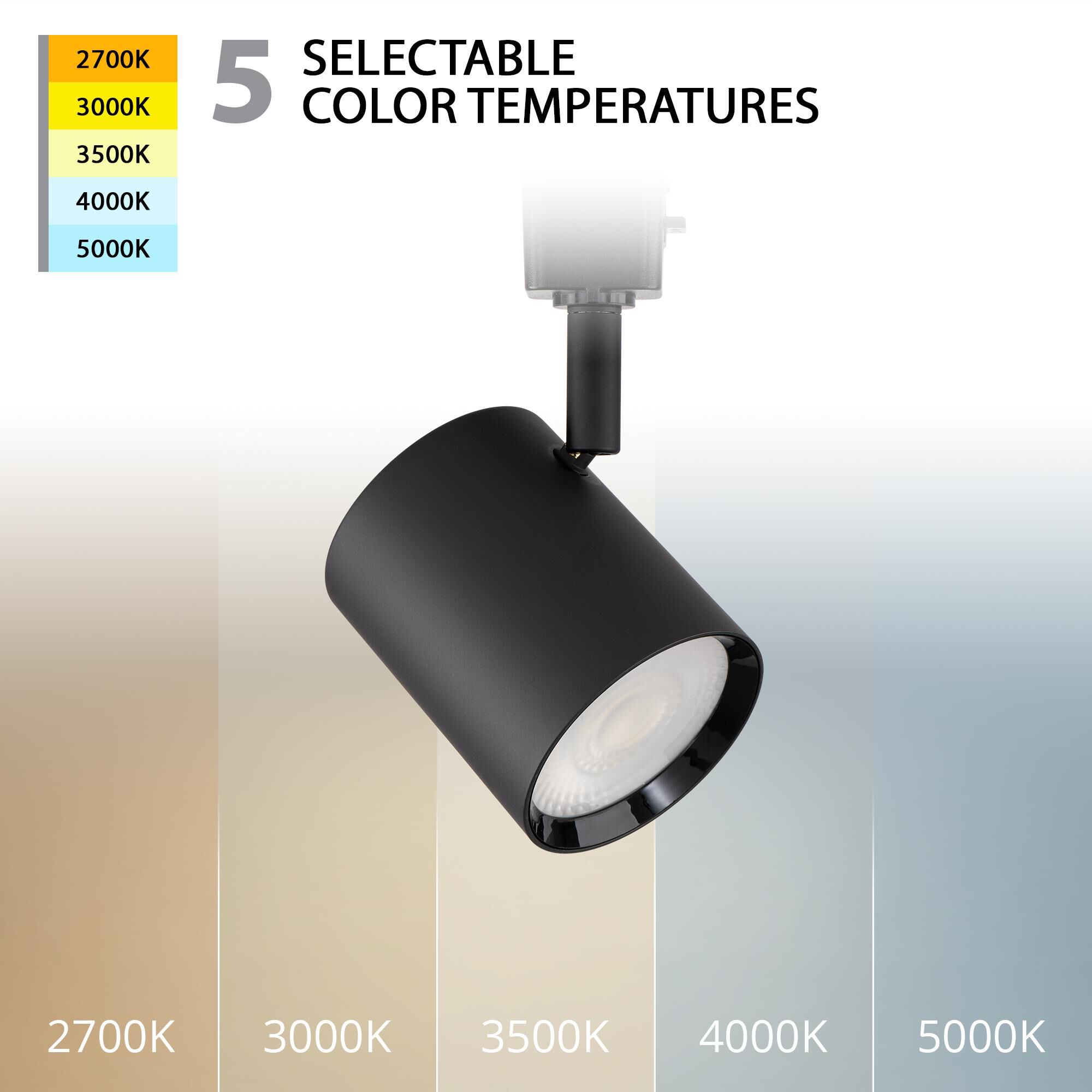 Charge 5 Inch Directional Head Pack of 2 by WAC Lighting