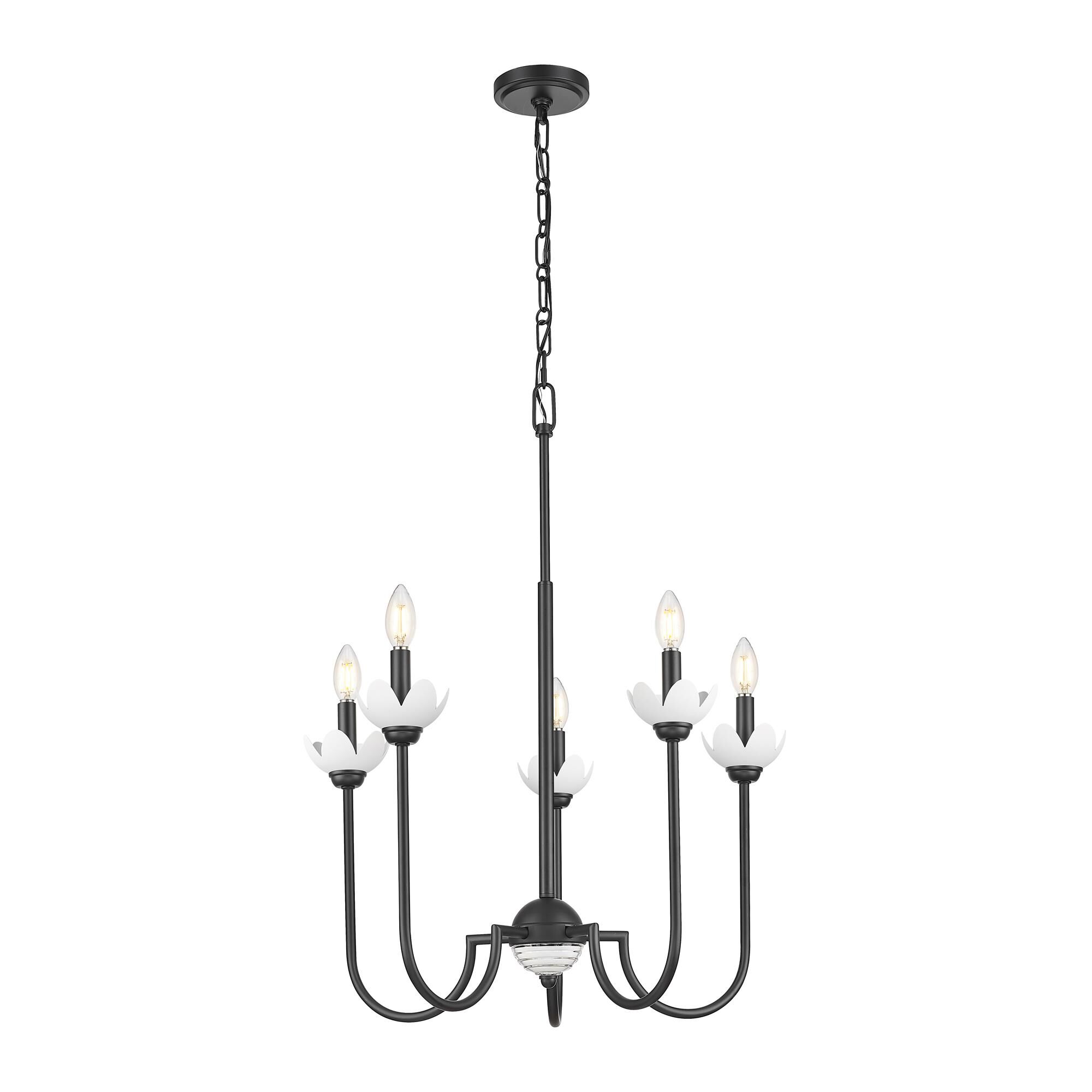 Shown in Matte Black finish and Clear Ribbed glass and Clear Ribbed shade