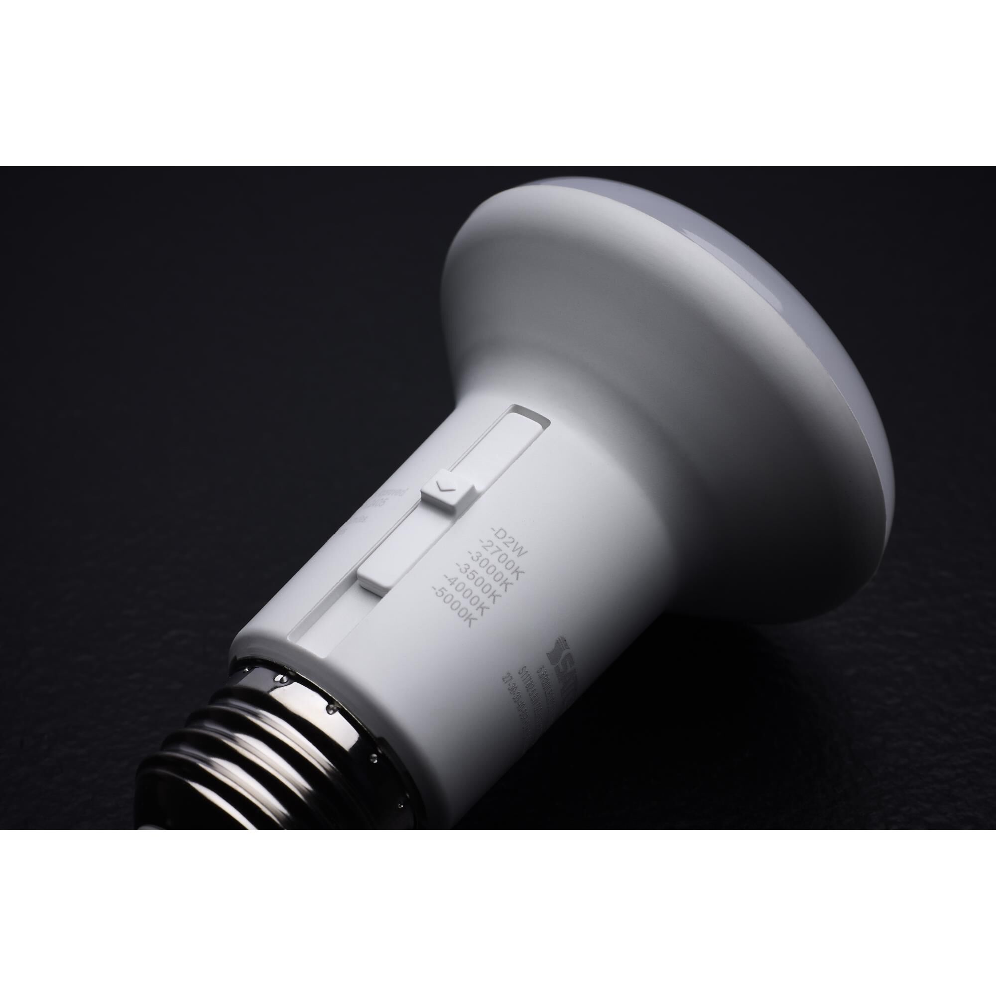 LED Light Bulb by Satco
