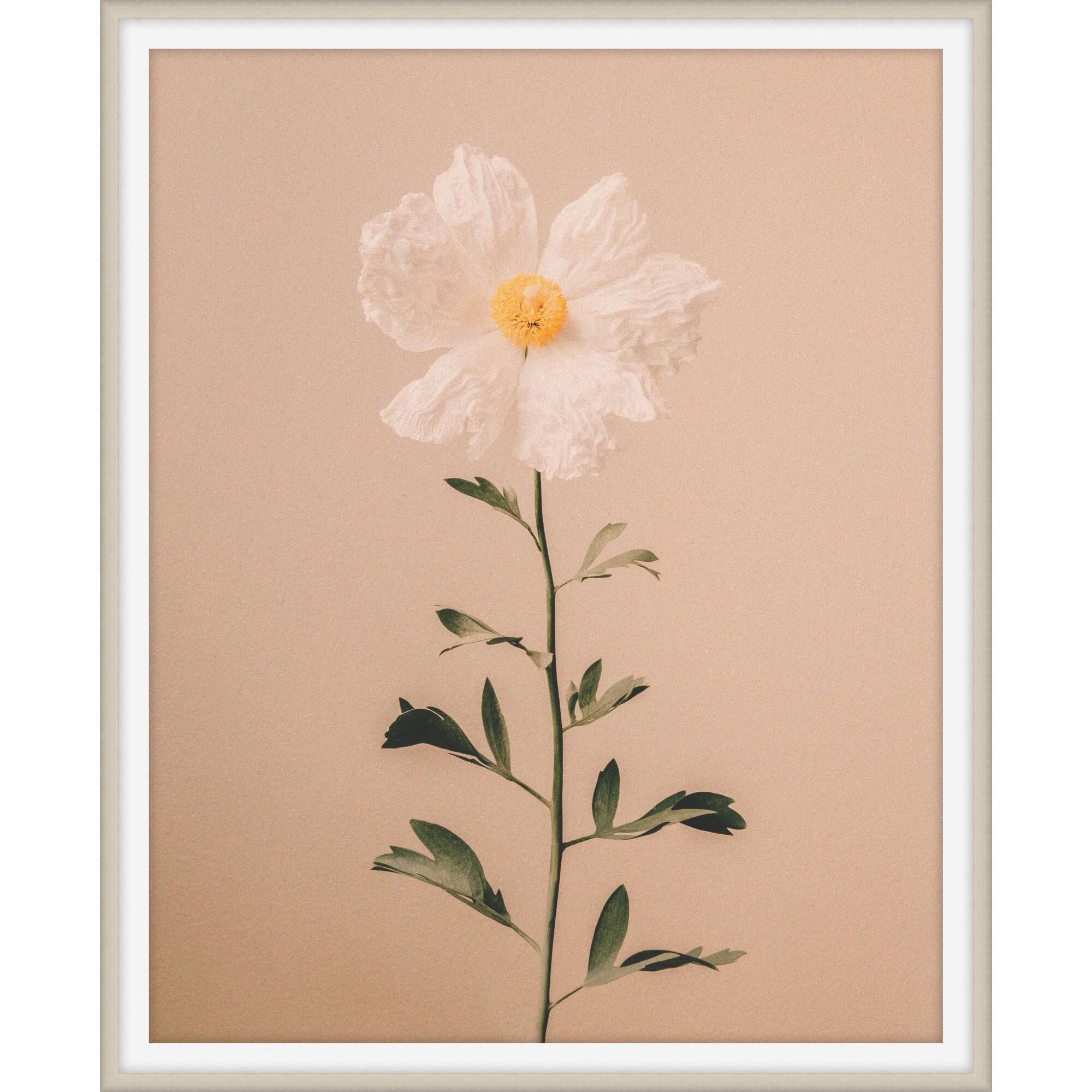 Shown in White and Woodtones finish