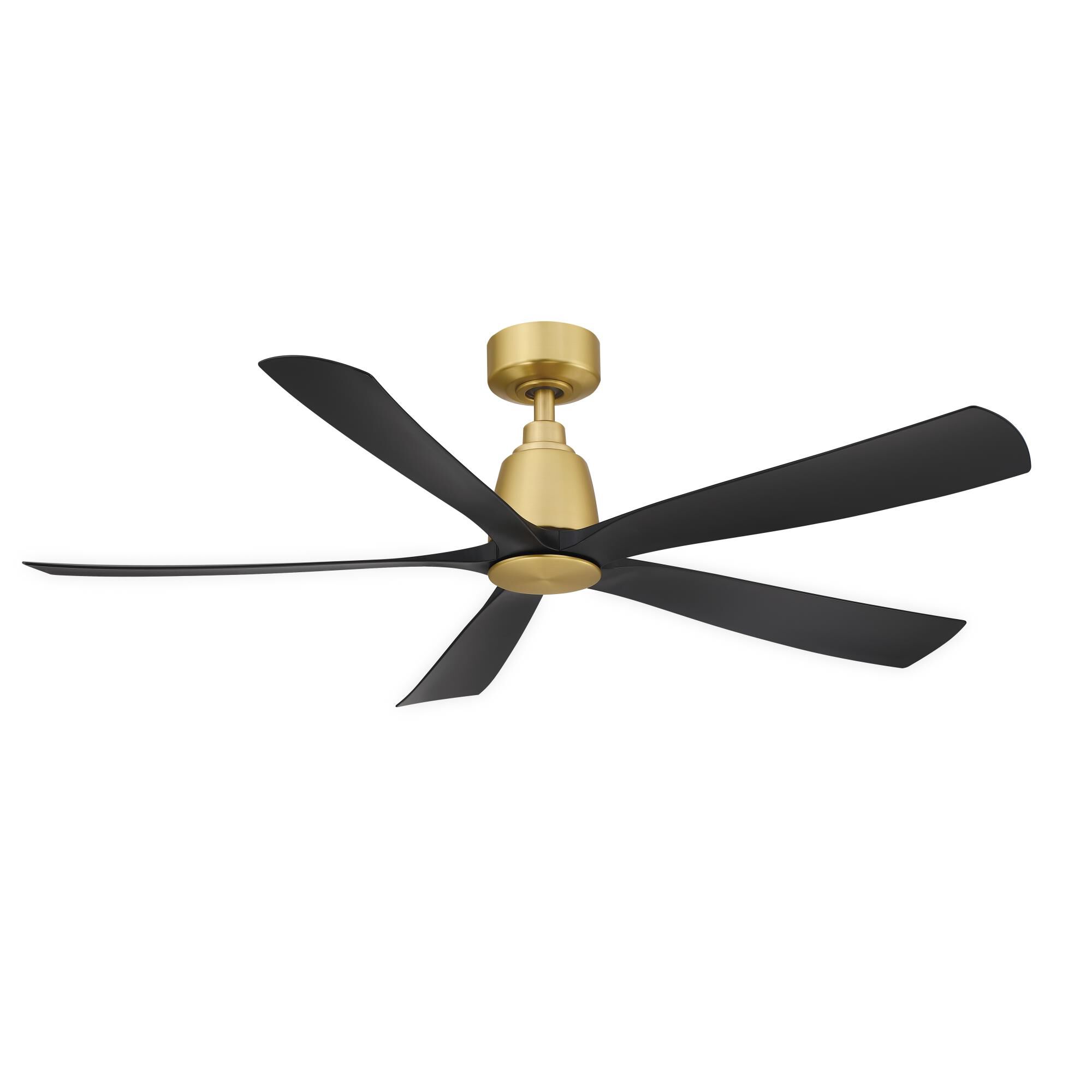 Kute5 52 Inch Ceiling Fan by Fanimation