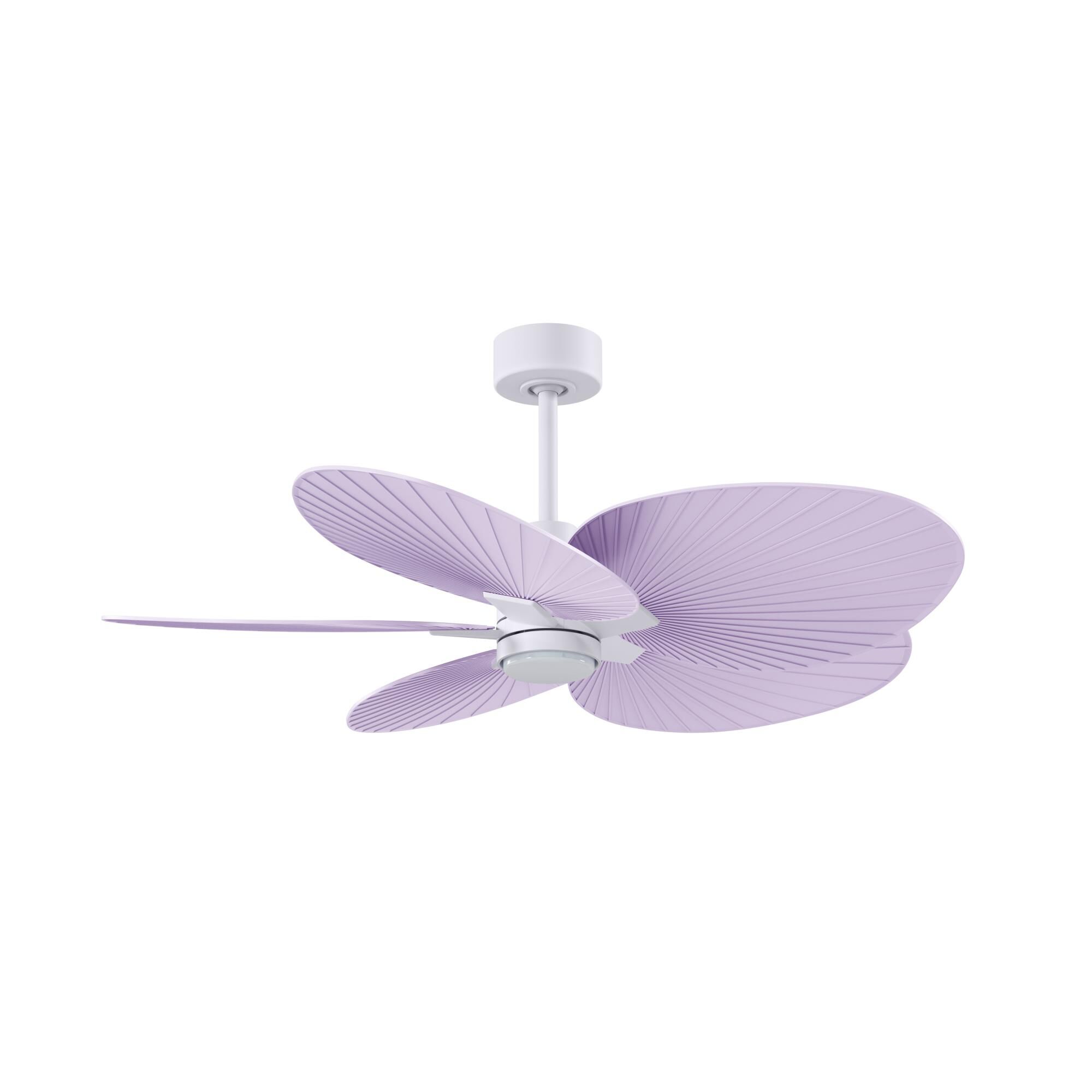 Alessandra Tropical Outdoor Rated 48 Inch Ceiling Fan with Light Kit by Matthews Fan Company