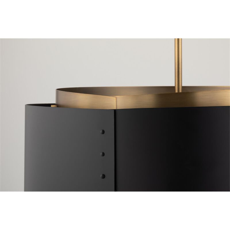 Colin King Roux Medium Pendant Light by Troy Lighting
