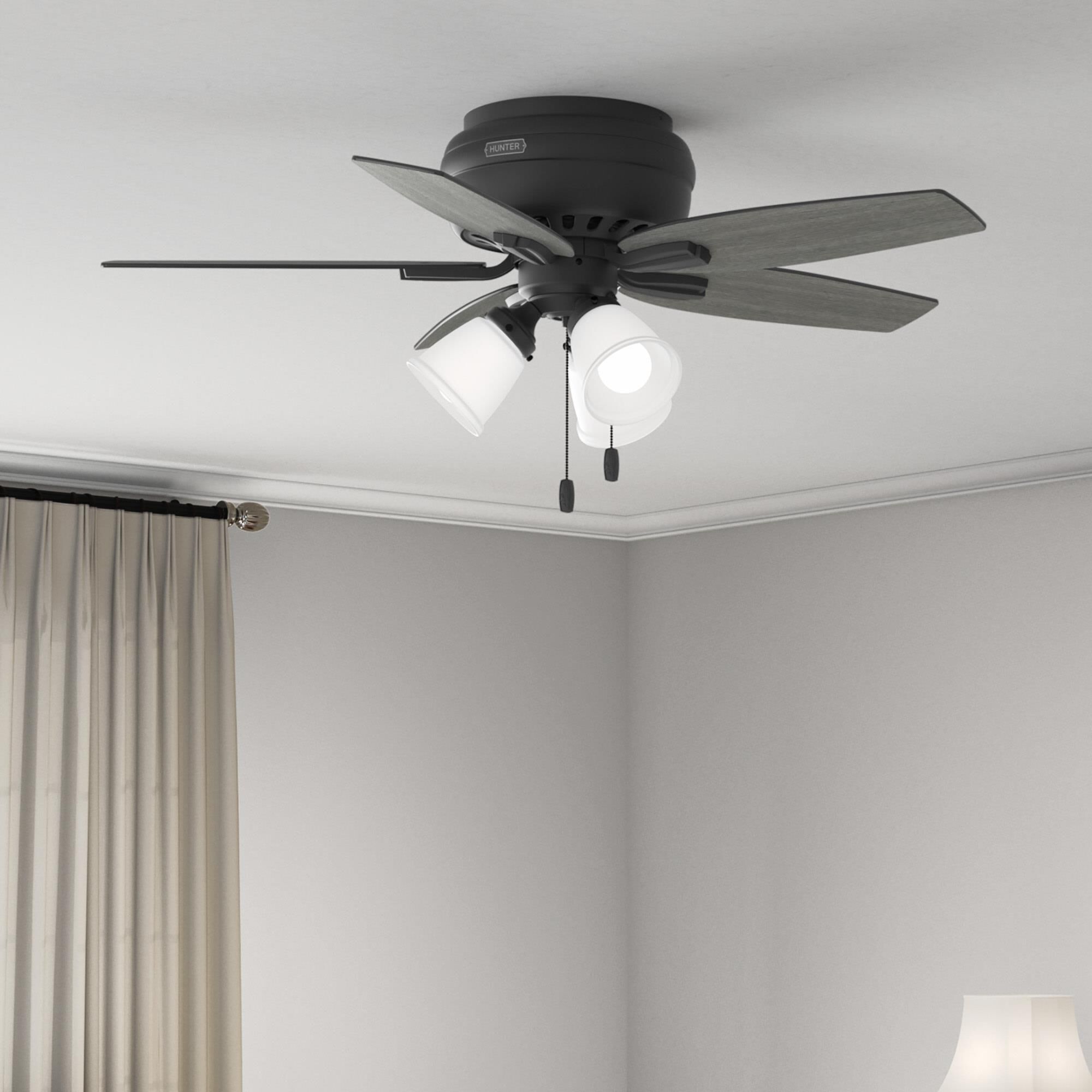 Newsome Ceiling Fan by Hunter Fan