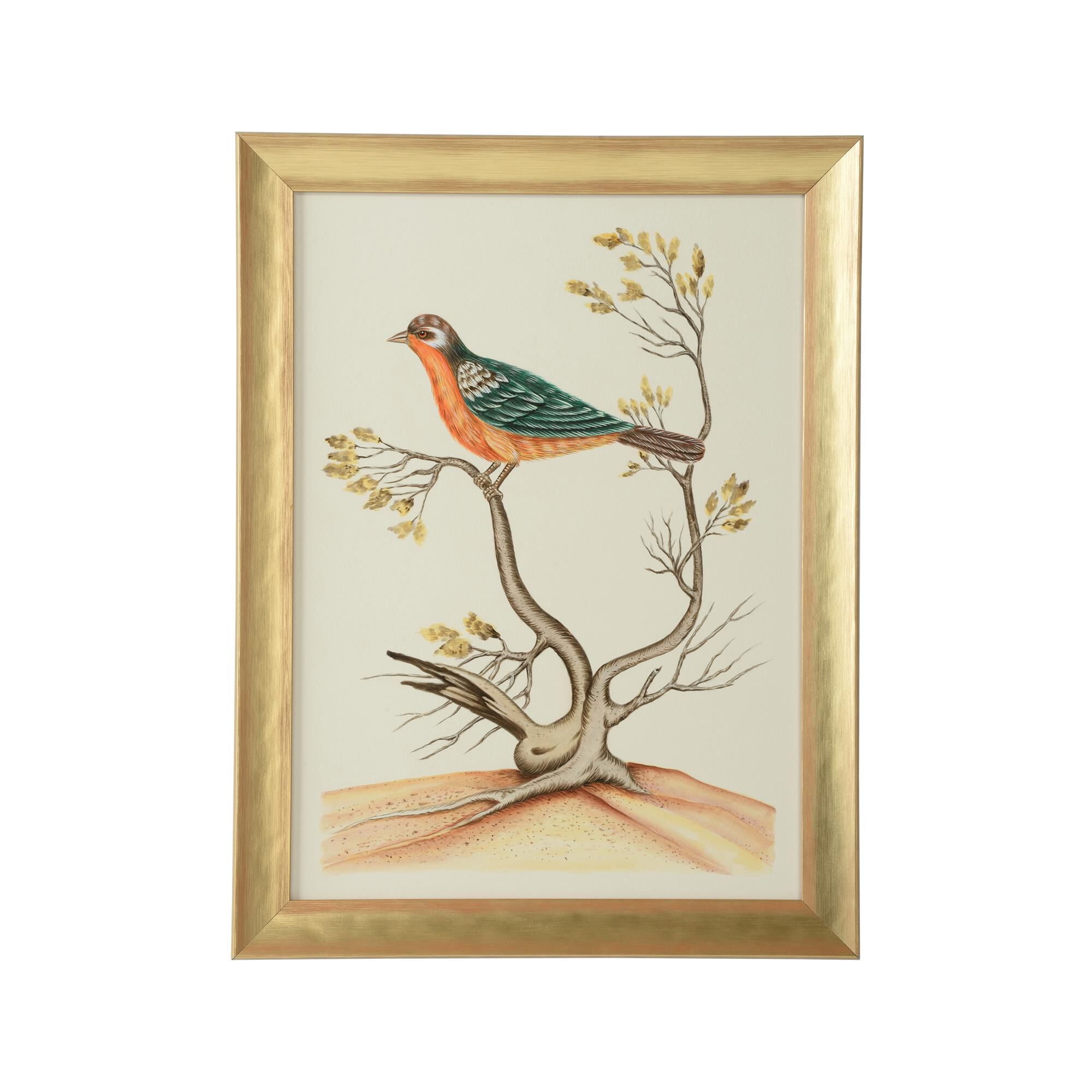 Bill Cain Watercolor Birds B Painting by Chelsea House