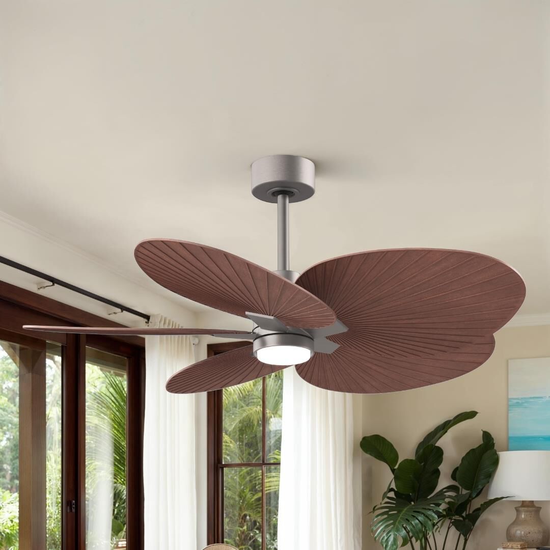 Alessandra Tropical Outdoor Rated 48 Inch Ceiling Fan with Light Kit by Matthews Fan Company