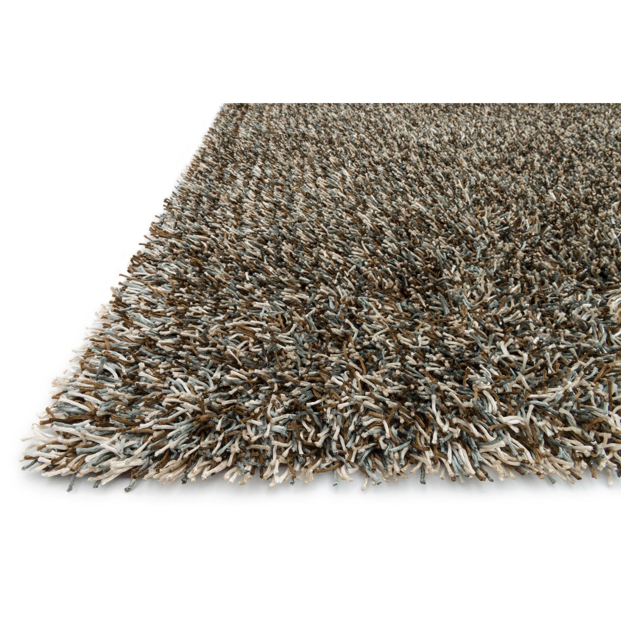 Carrera Shag Area Rug by Loloi Rugs