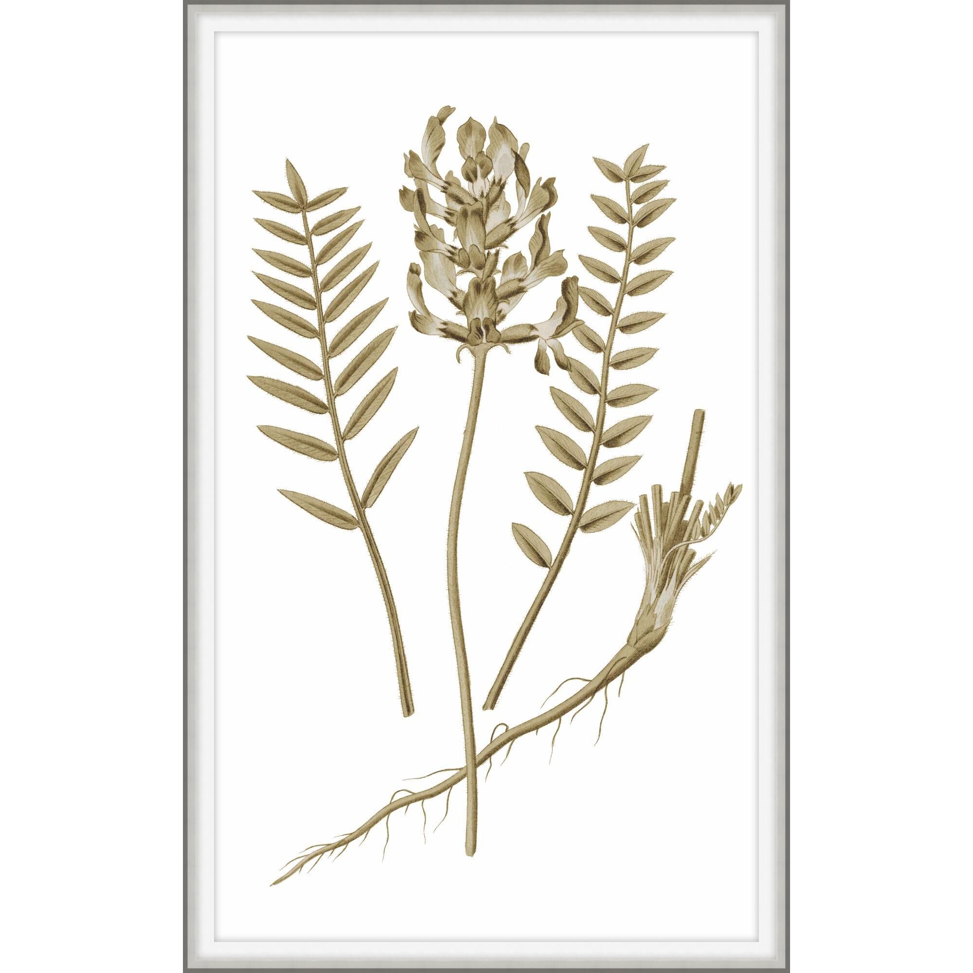 Sweet Preservation Print by LEVEL57